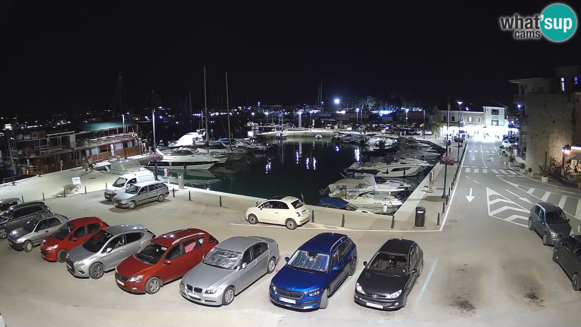 Novigrad | Porporela marina