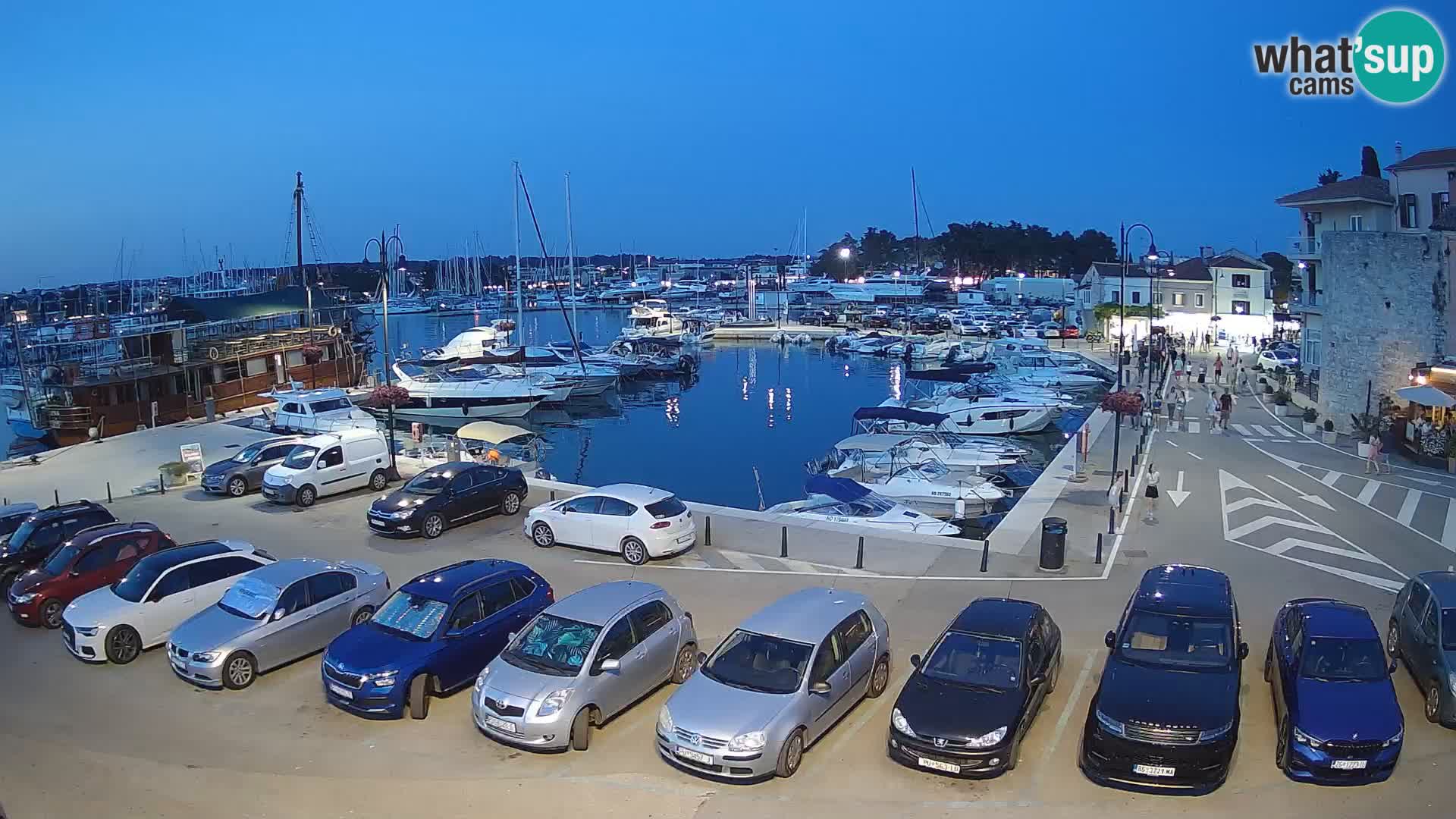 Novigrad | Porporela marina
