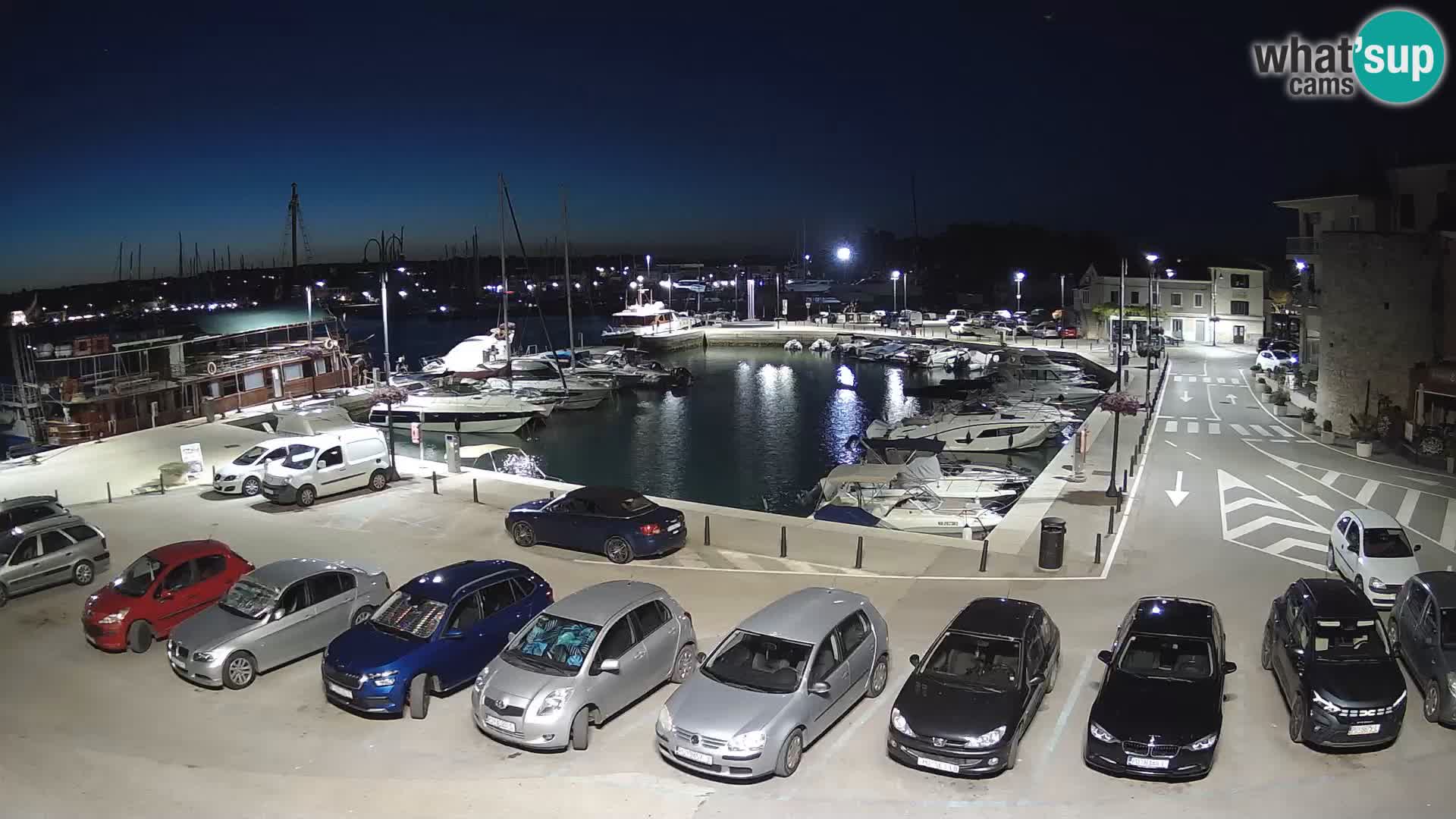 Novigrad | Porporela marina