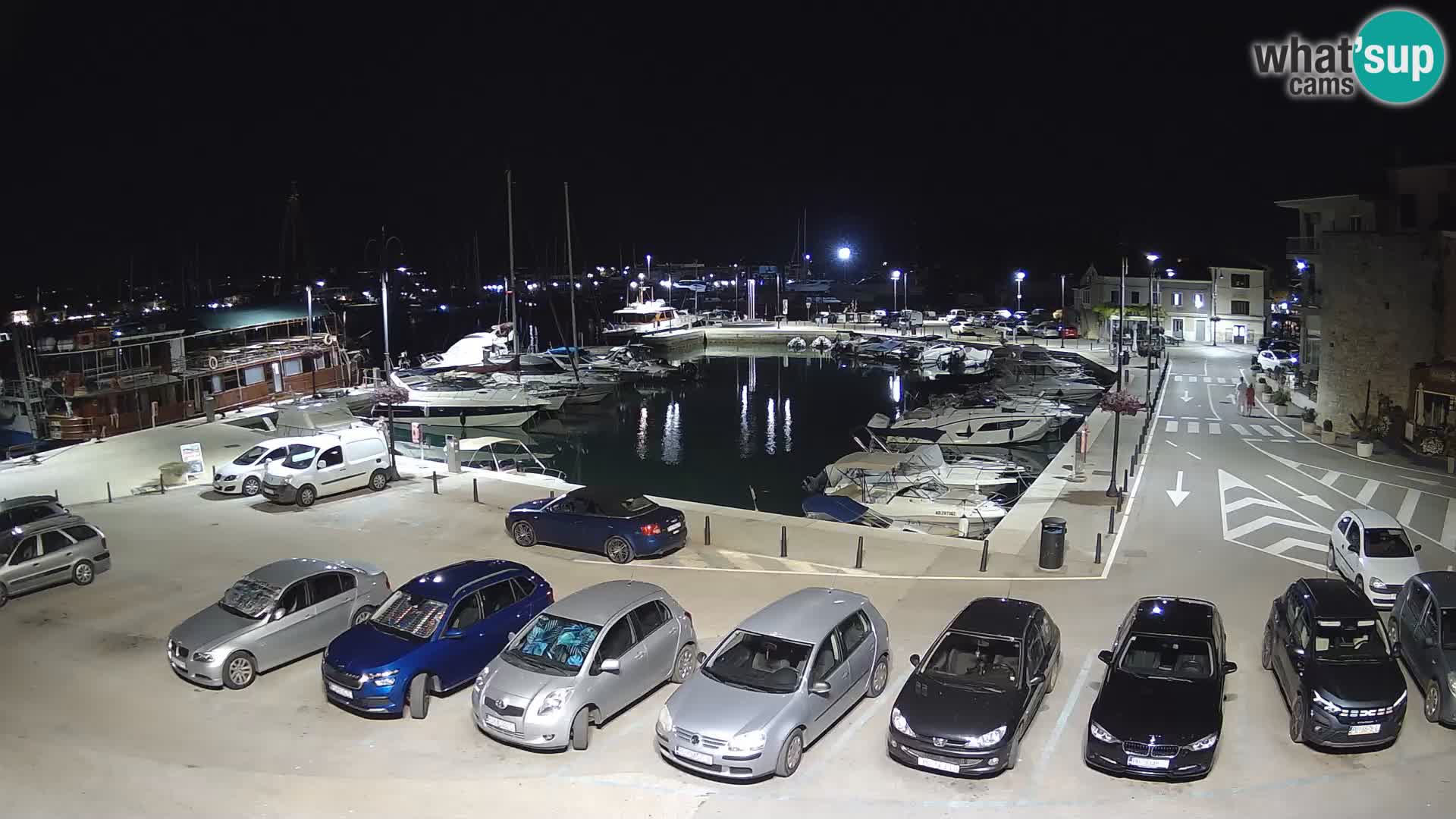Novigrad | Porporela marina