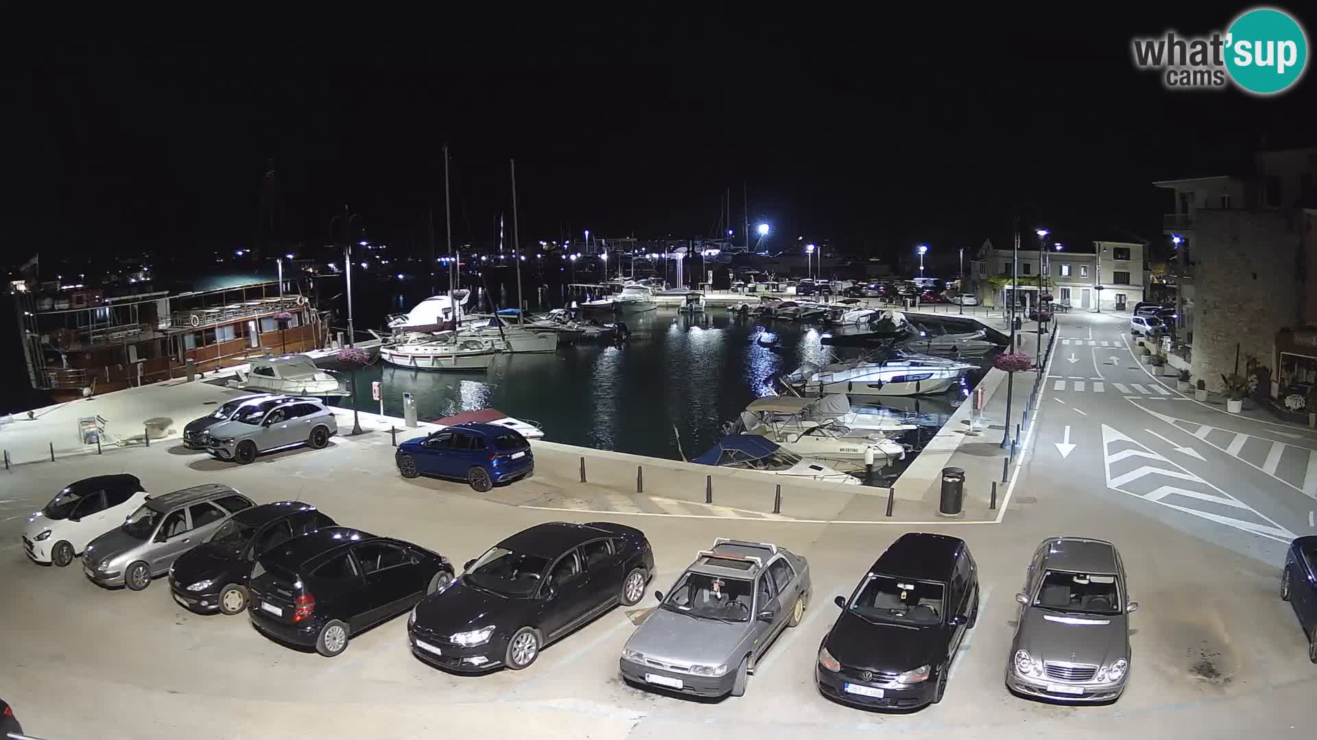 Novigrad | Porporela marina