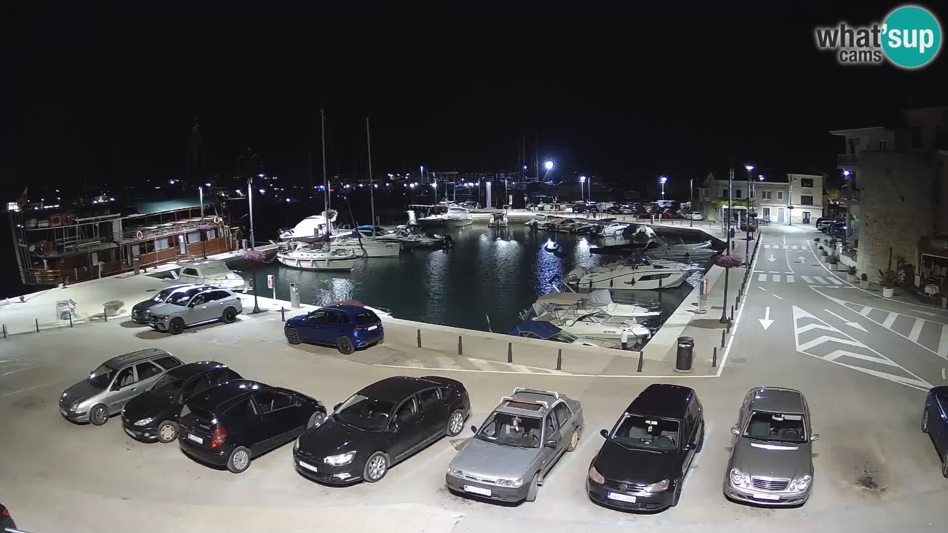 Novigrad | Porporela marina