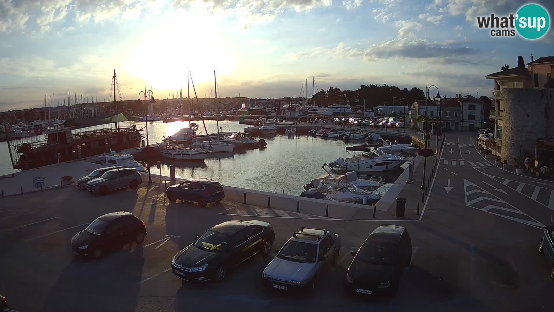 Novigrad | Porporela marina