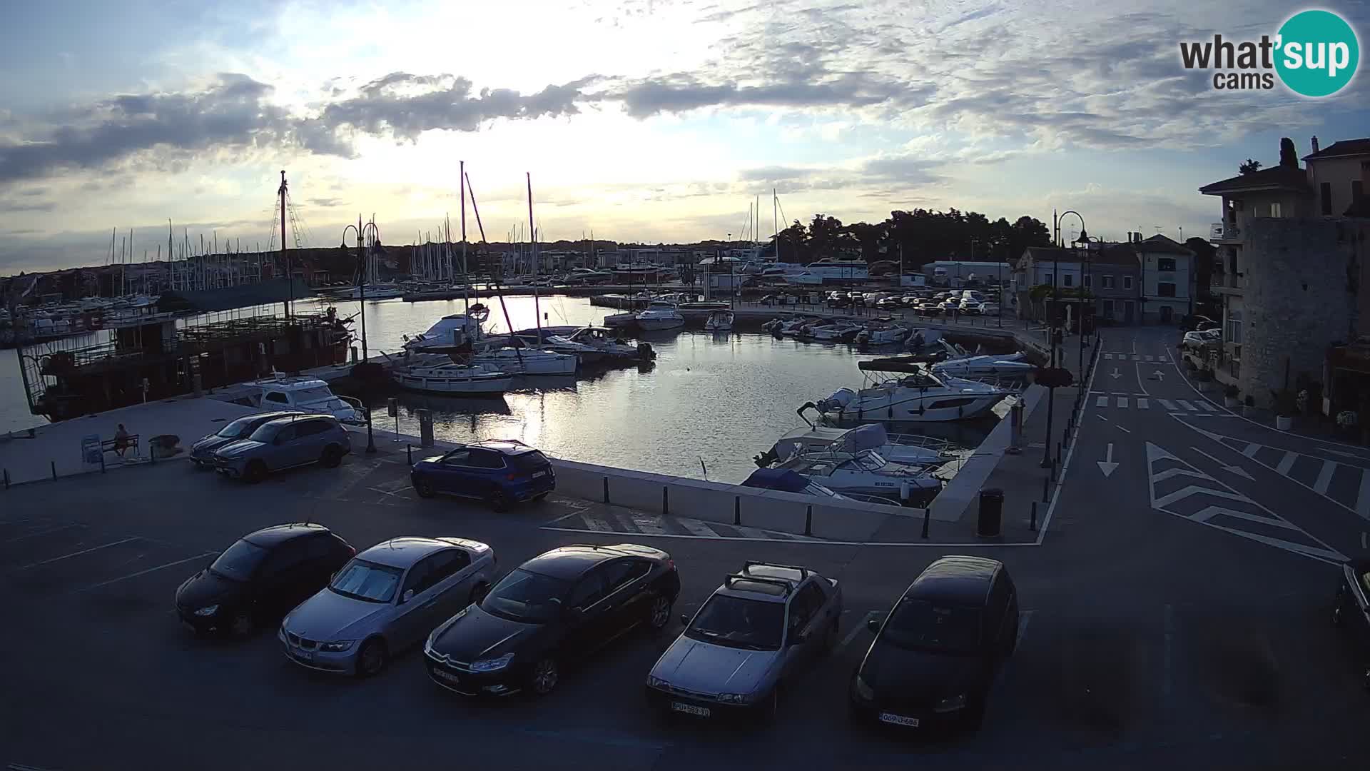 Novigrad | Porporela marina