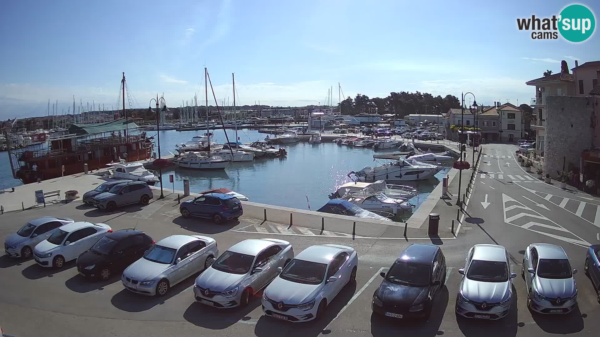 Novigrad | Porporela marina