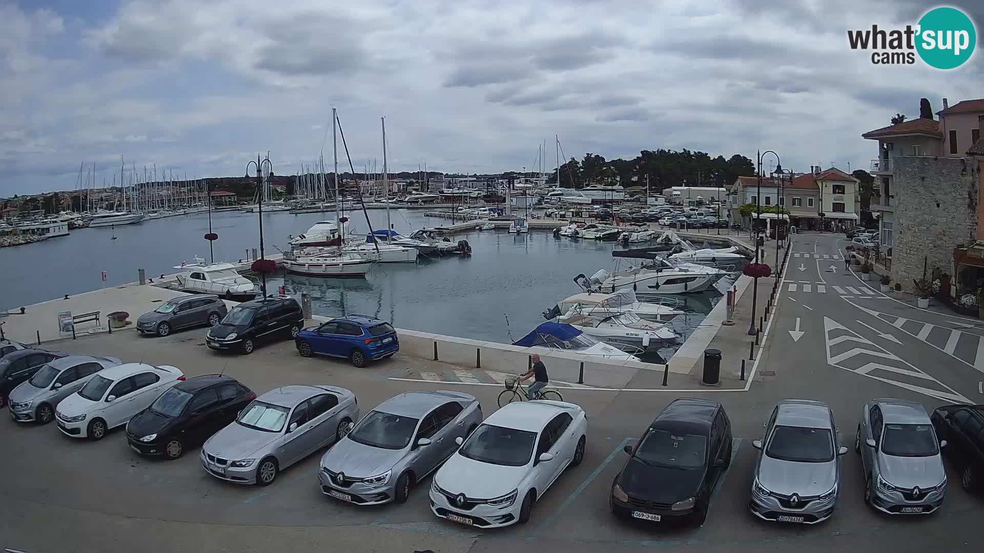Novigrad | Porporela marina