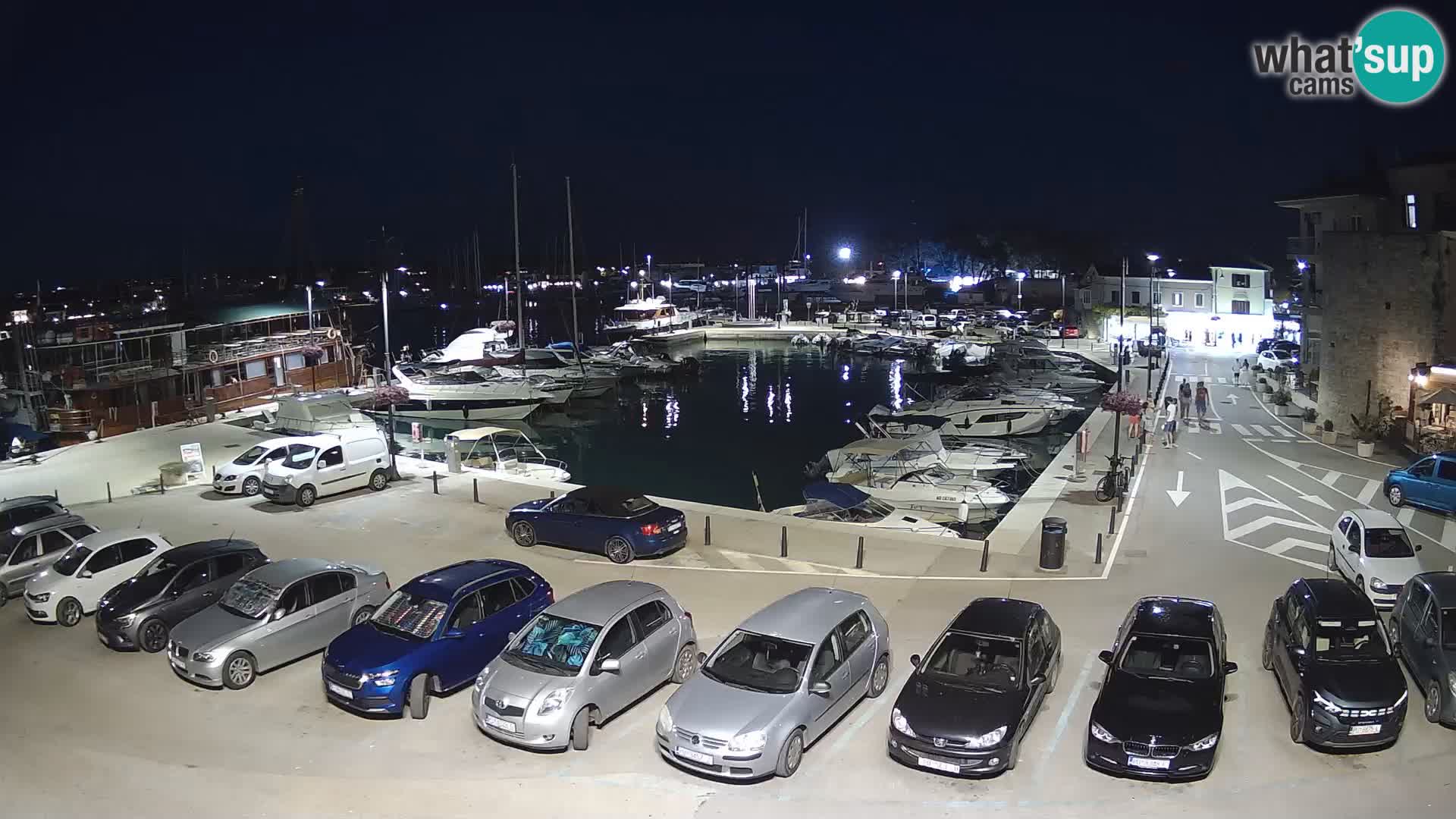 Novigrad | Porporela marina