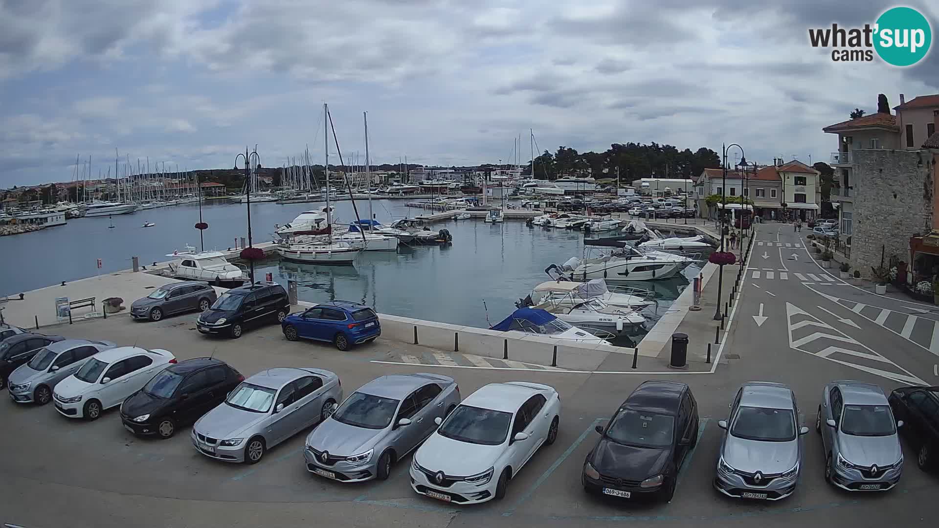 Novigrad | Porporela marina