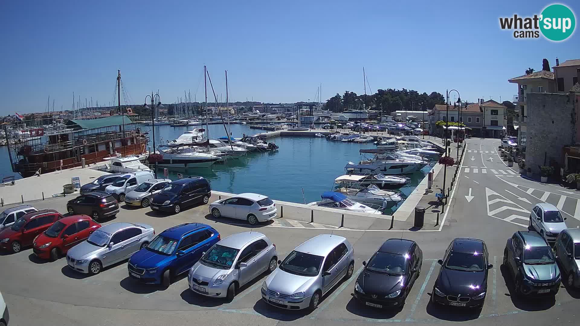 Novigrad | Porporela marina