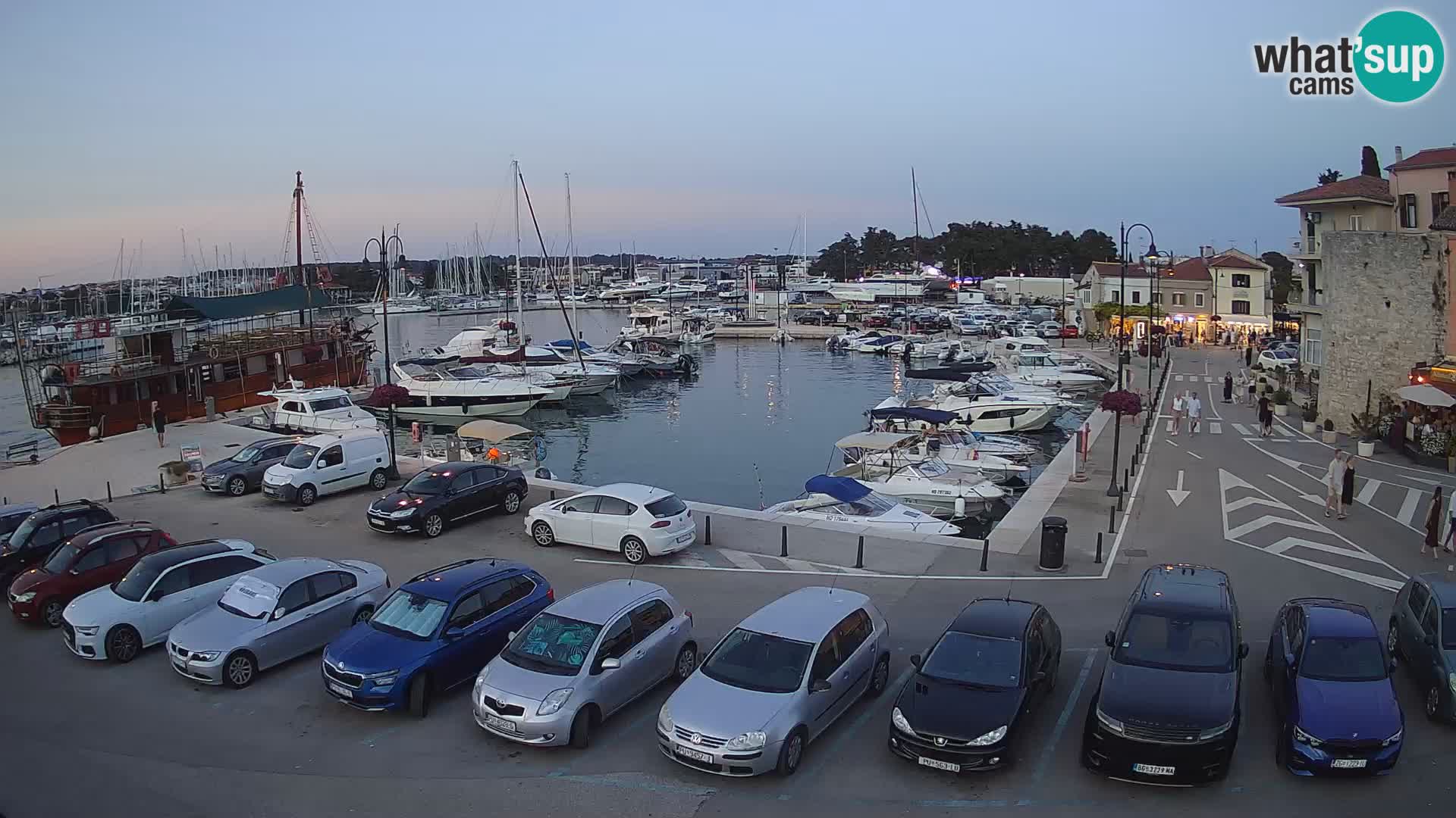 Novigrad | Porporela marina
