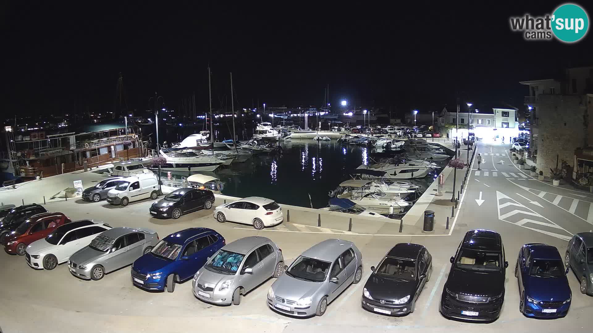 Novigrad | Porporela marina