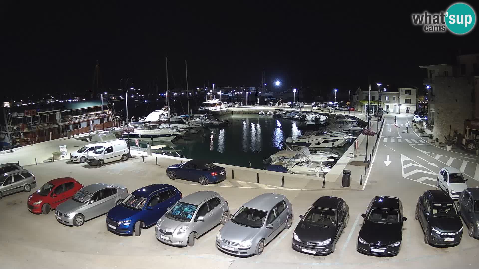 Novigrad | Porporela marina