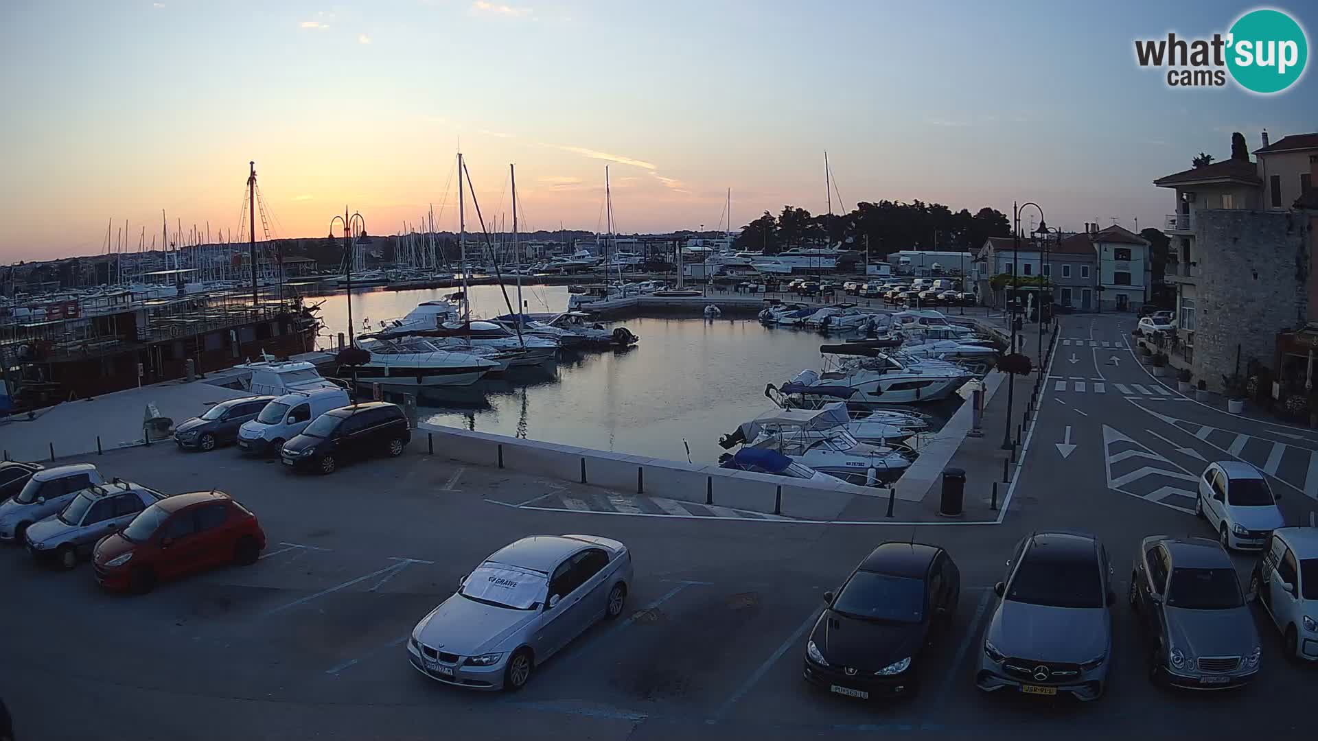 Novigrad | Porporela marina