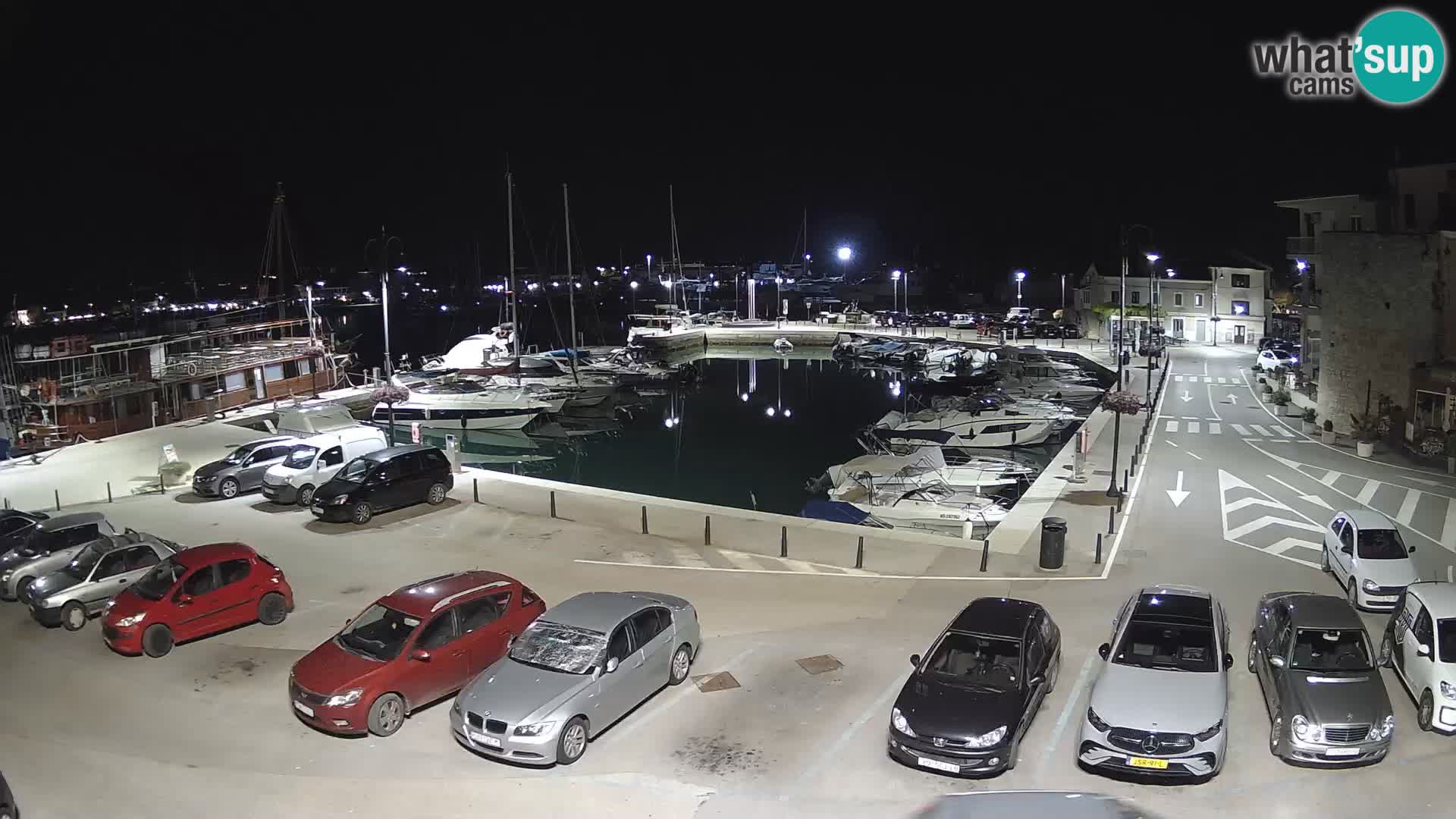 Novigrad | Porporela marina