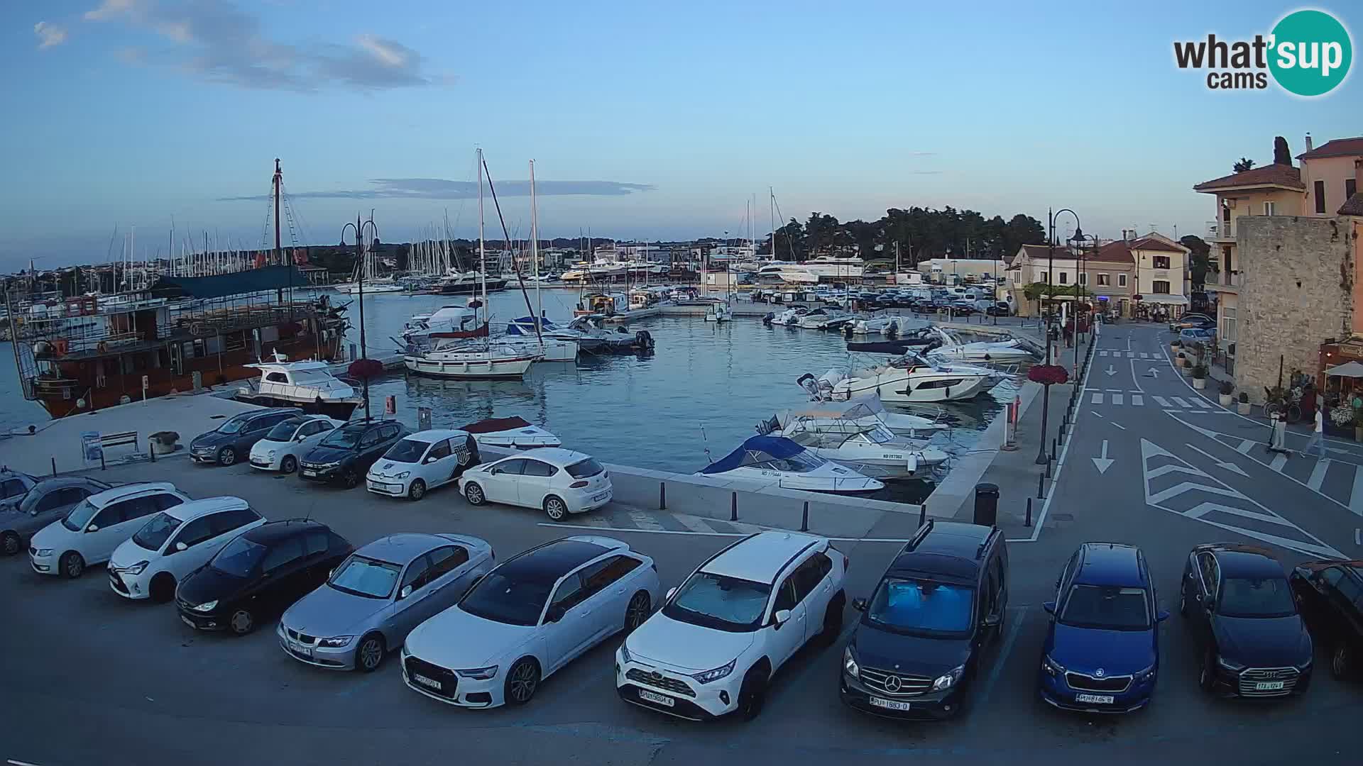 Novigrad | Porporela marina