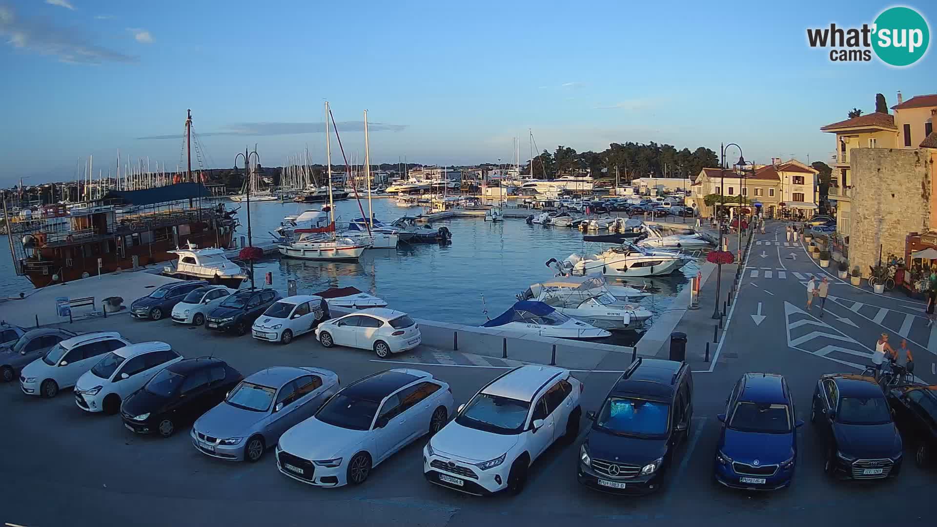 Novigrad | Porporela marina