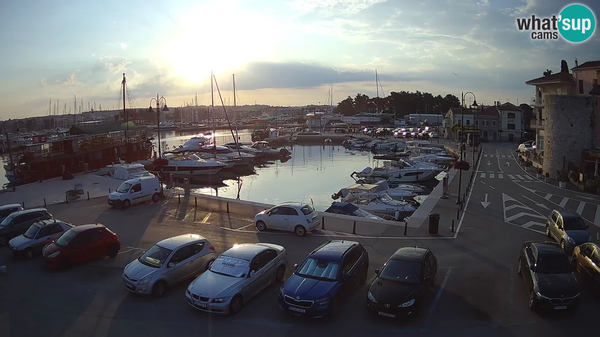Novigrad | Porporela marina