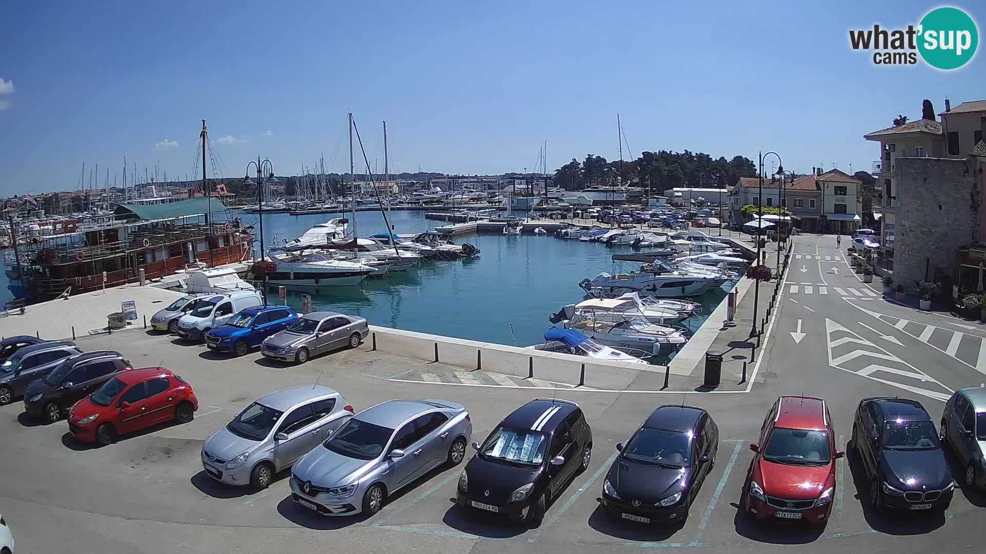 Novigrad | Porporela marina