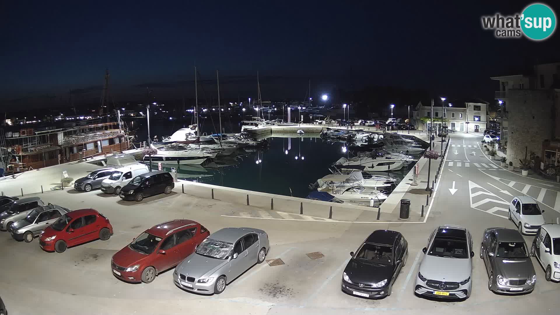 Novigrad | Porporela marina