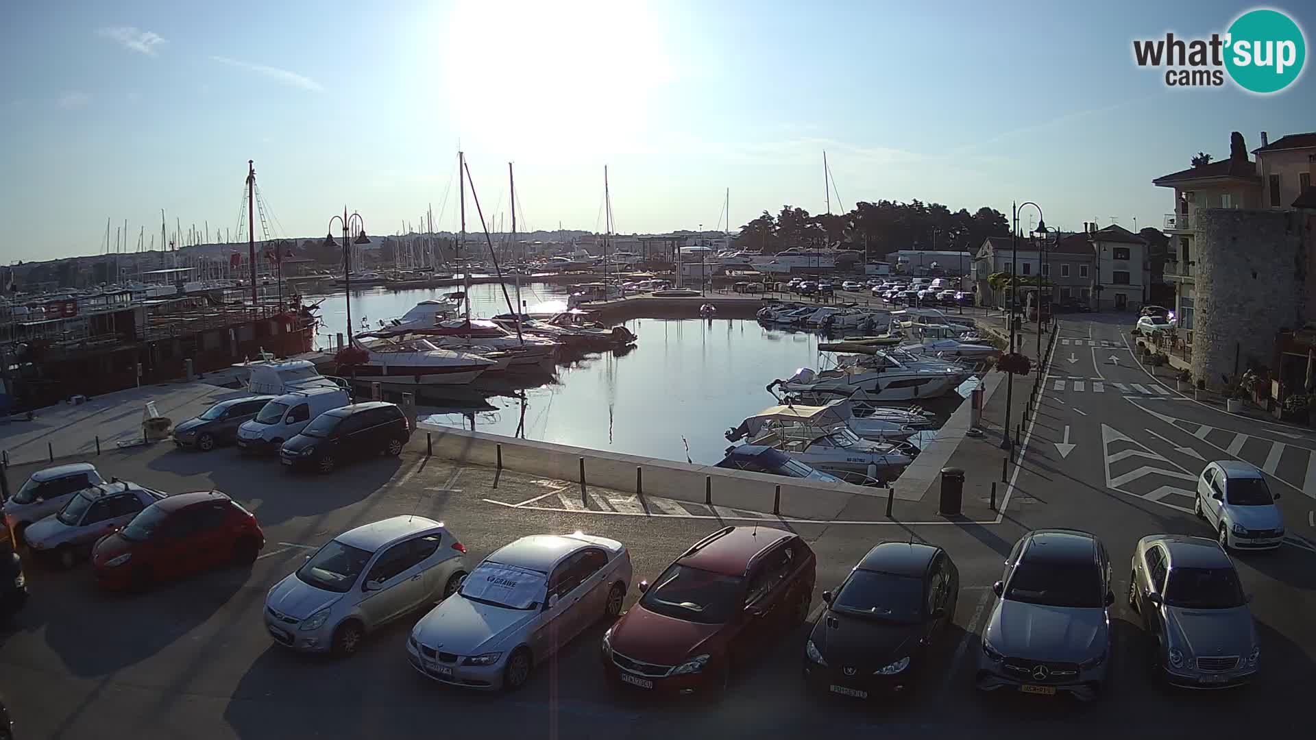 Novigrad | Porporela marina