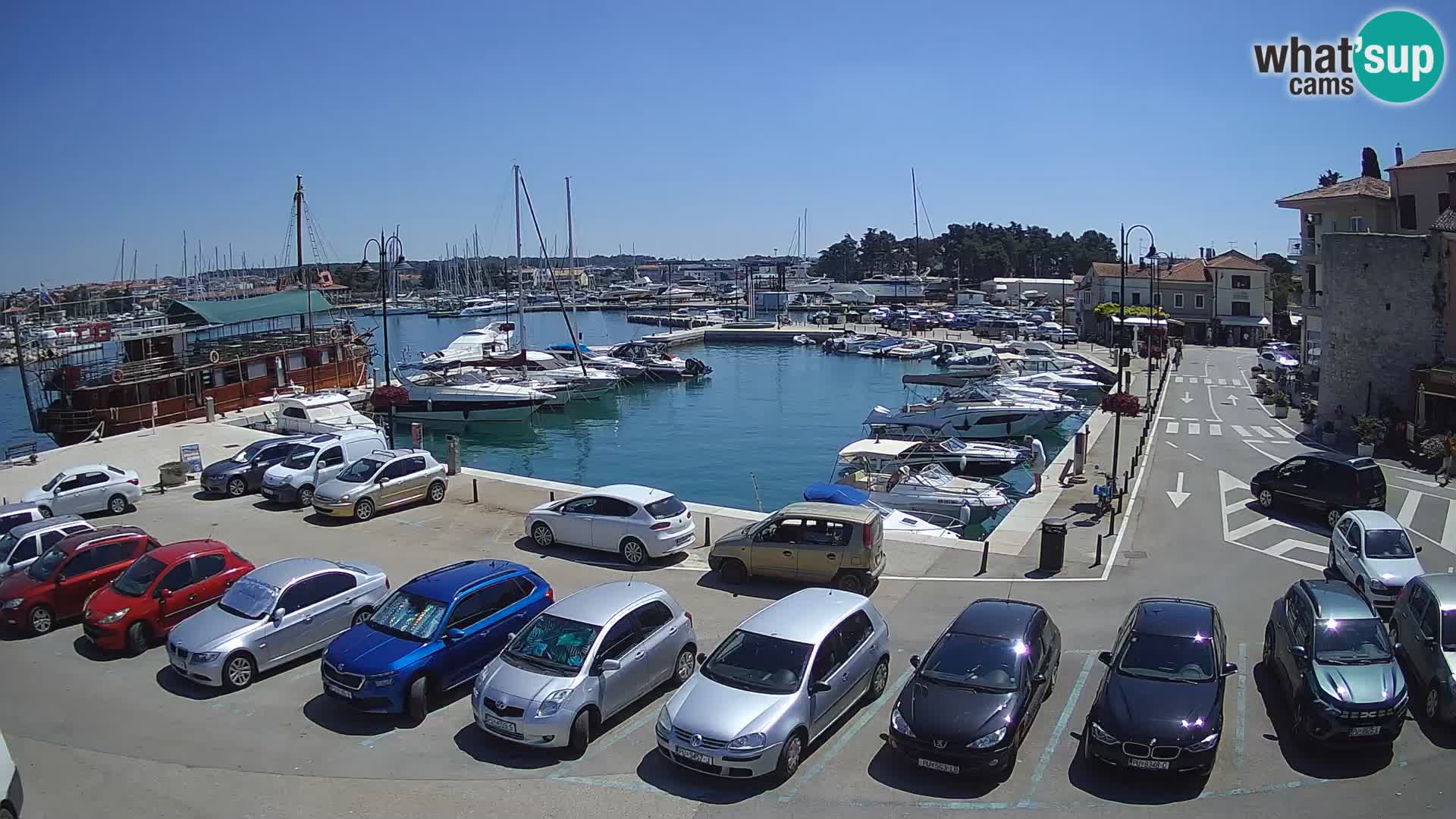 Novigrad | Porporela marina