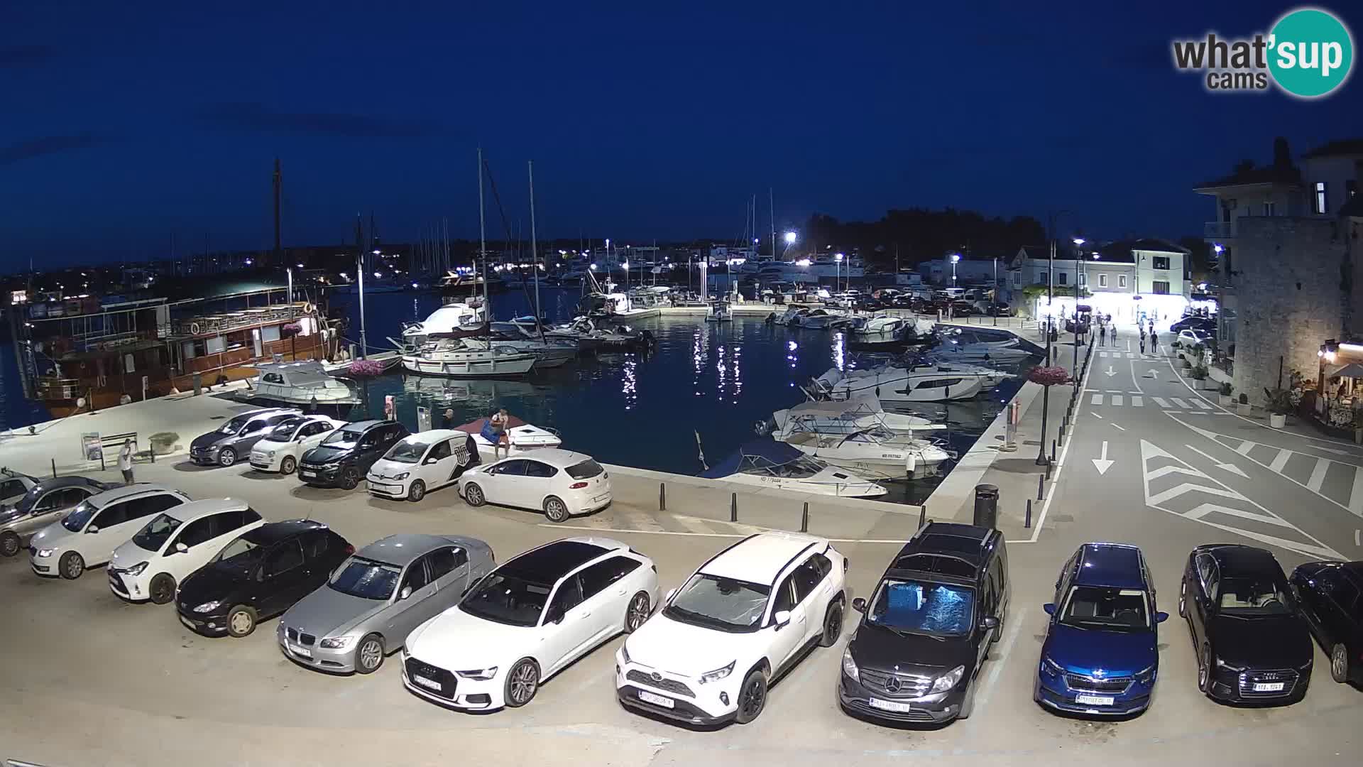 Novigrad | Porporela marina