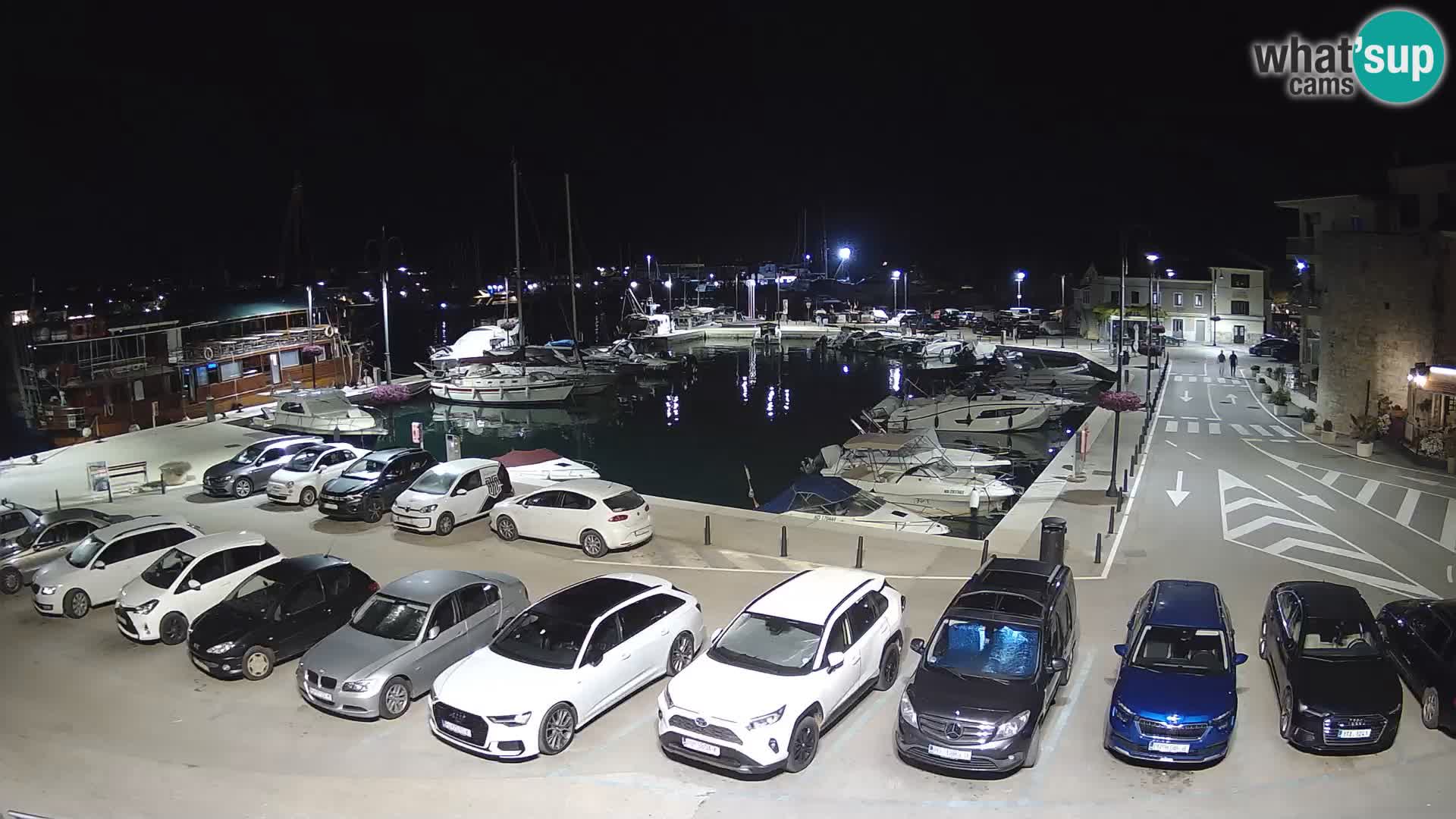 Novigrad | Porporela marina