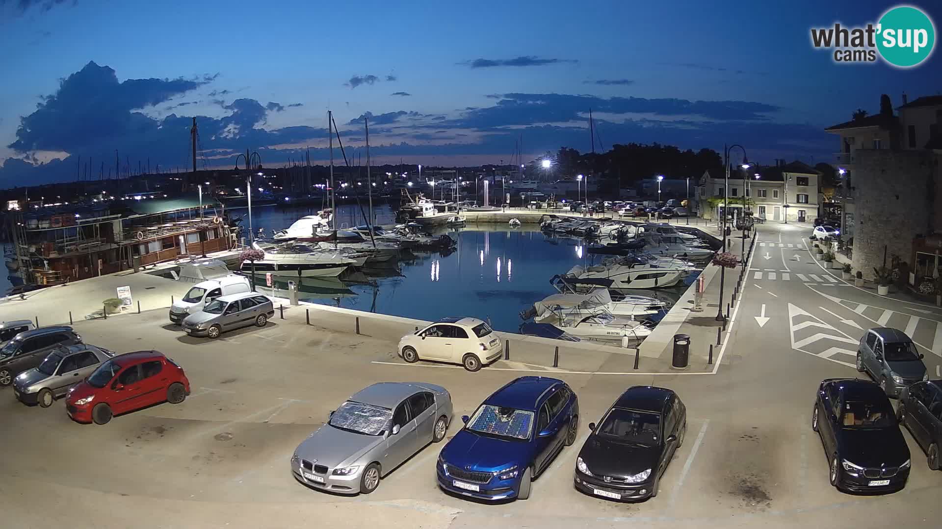 Novigrad | Porporela marina