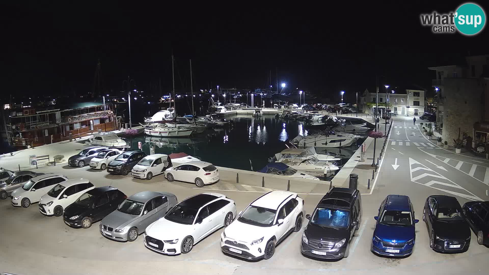 Novigrad | Porporela marina