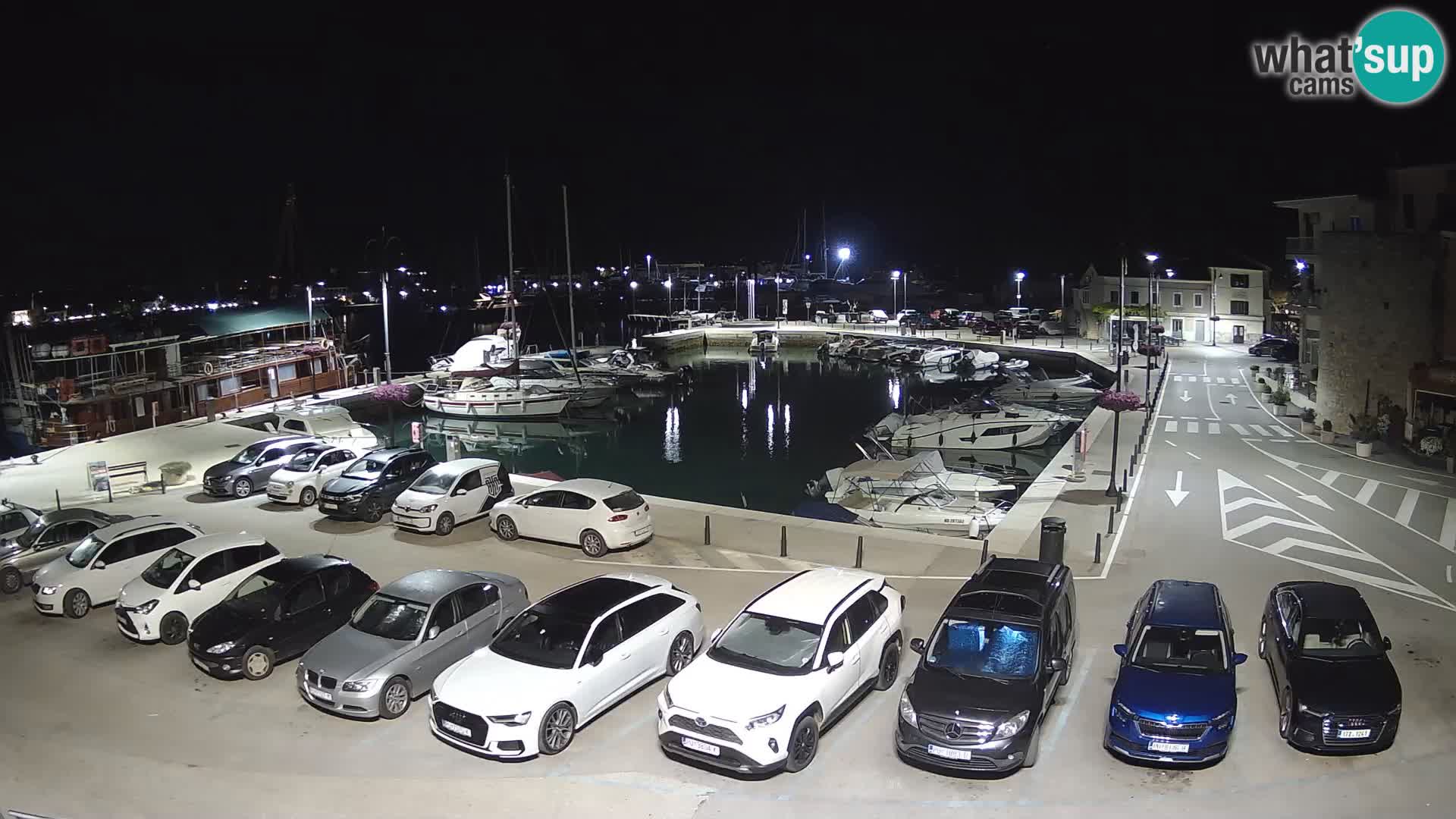 Novigrad | Porporela marina