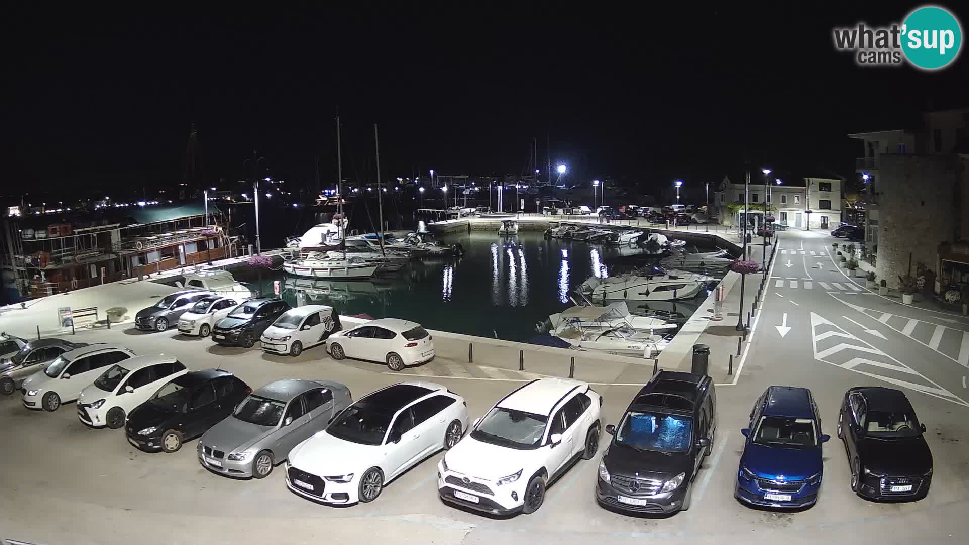 Novigrad | Porporela marina
