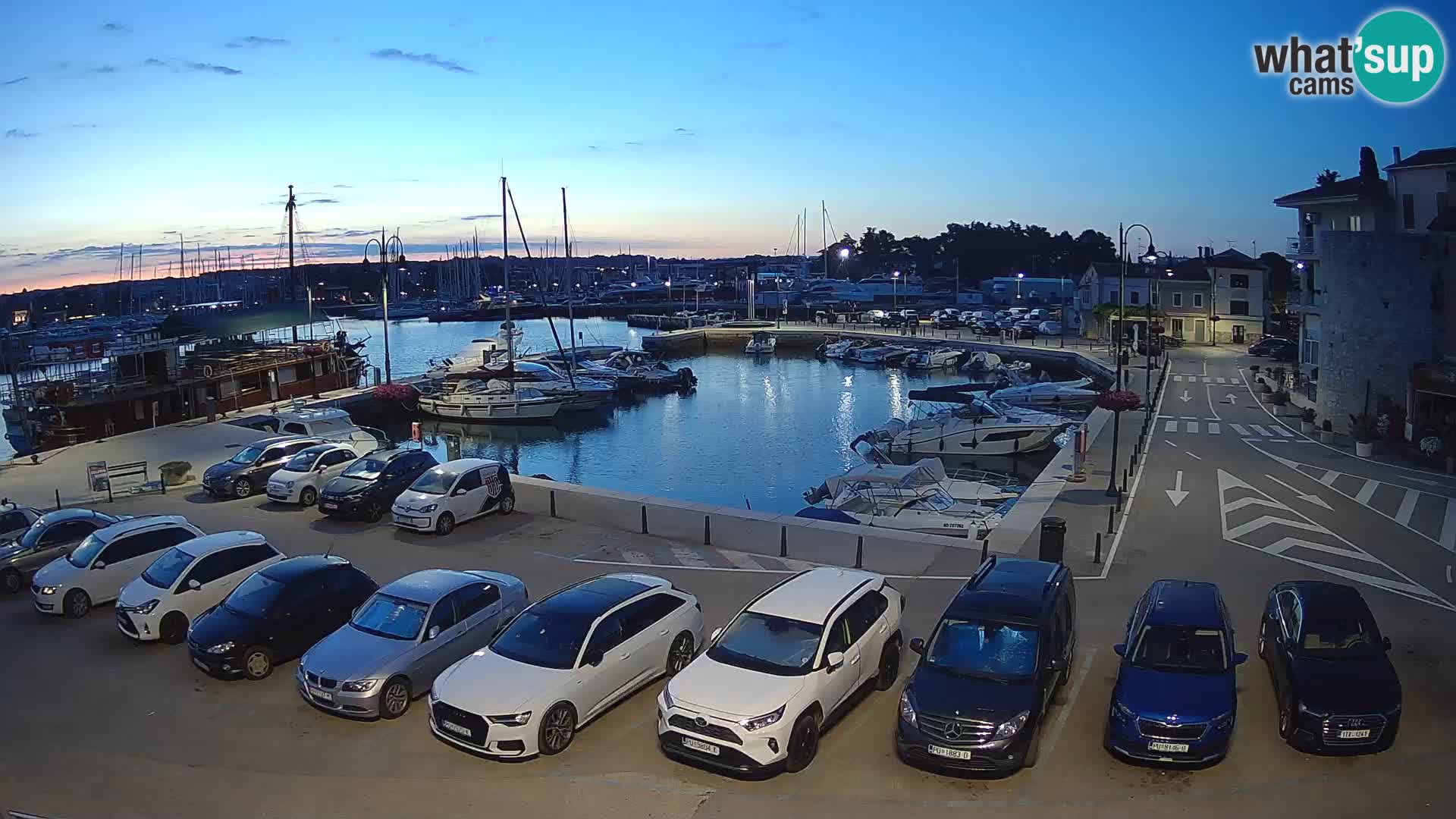 Novigrad | Porporela marina