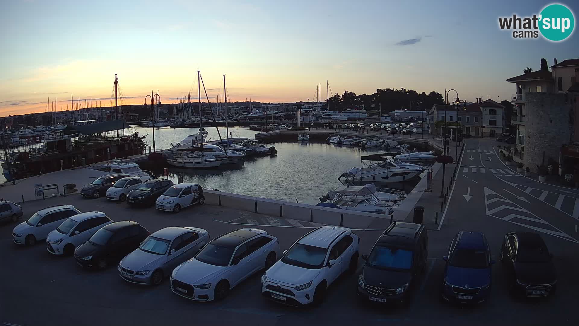 Novigrad | Porporela marina
