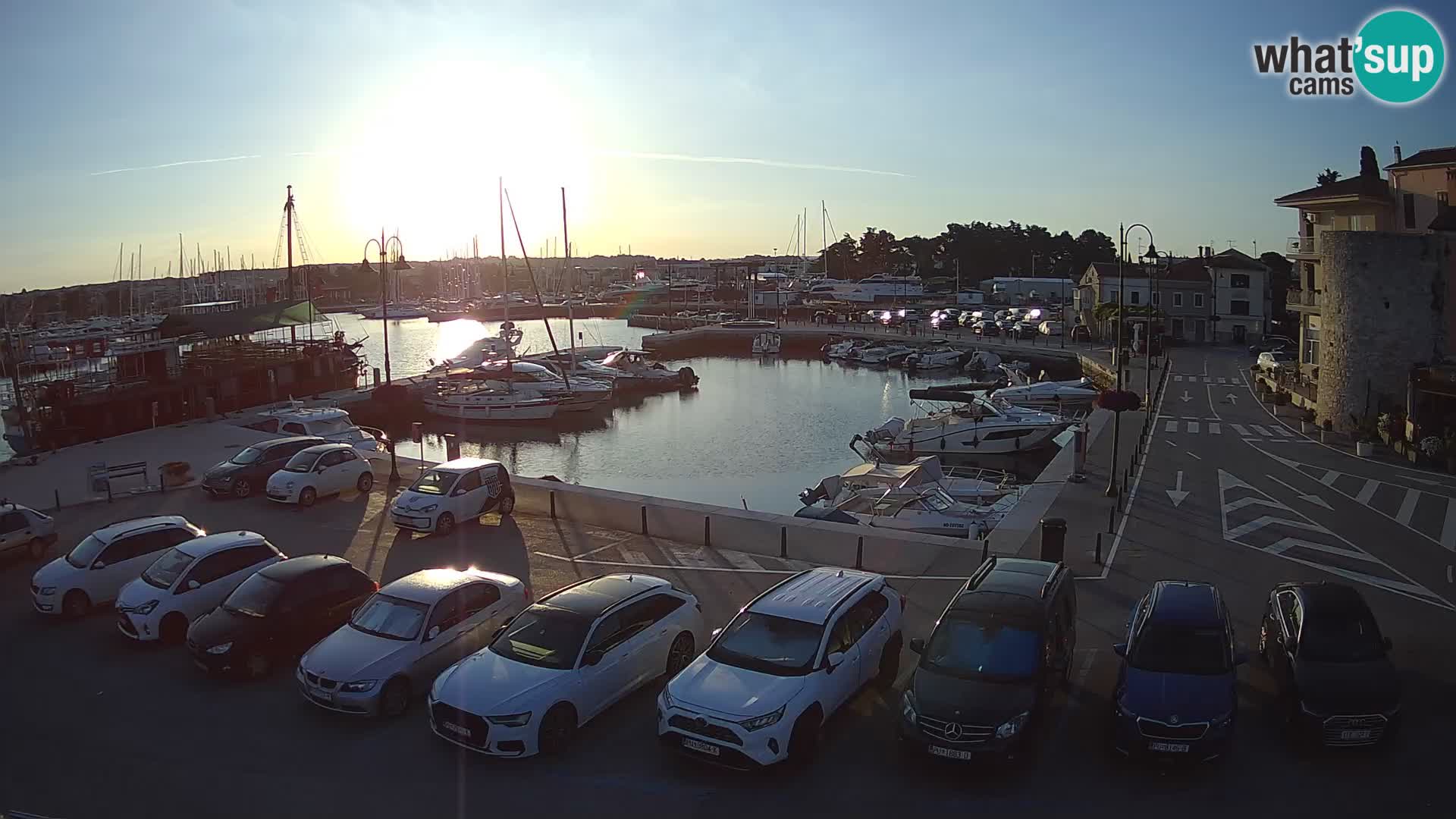 Novigrad | Porporela marina