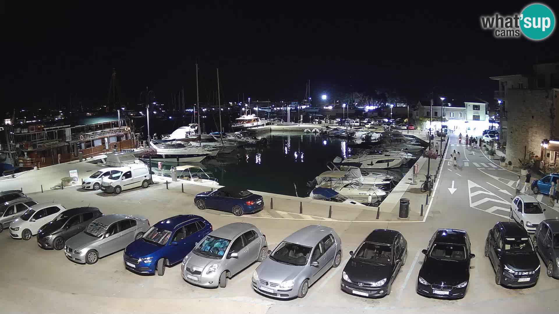 Novigrad | Porporela marina