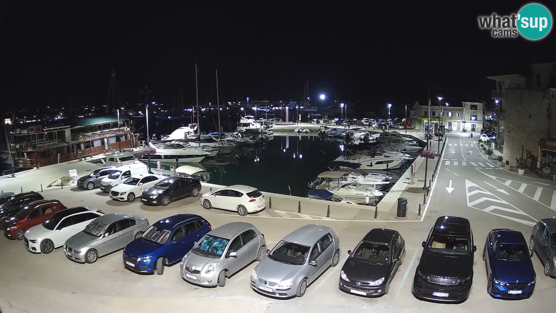 Novigrad | Porporela marina