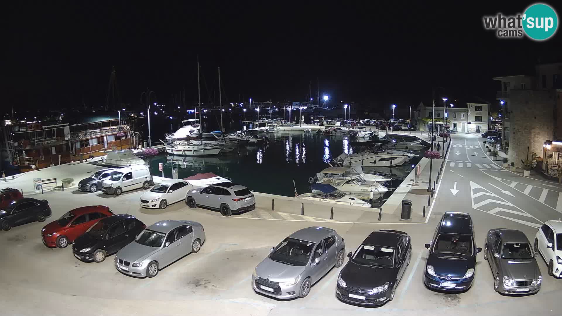 Novigrad | Porporela marina