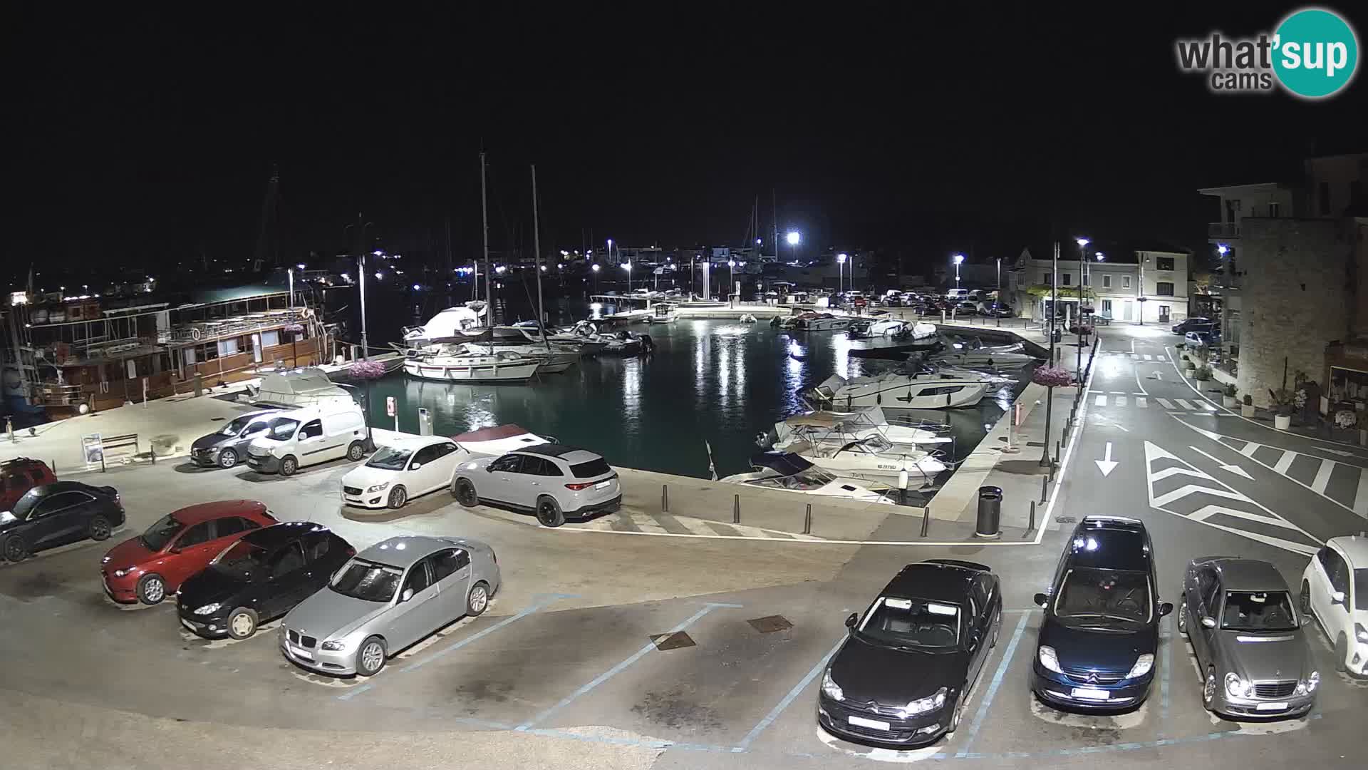 Novigrad | Porporela marina