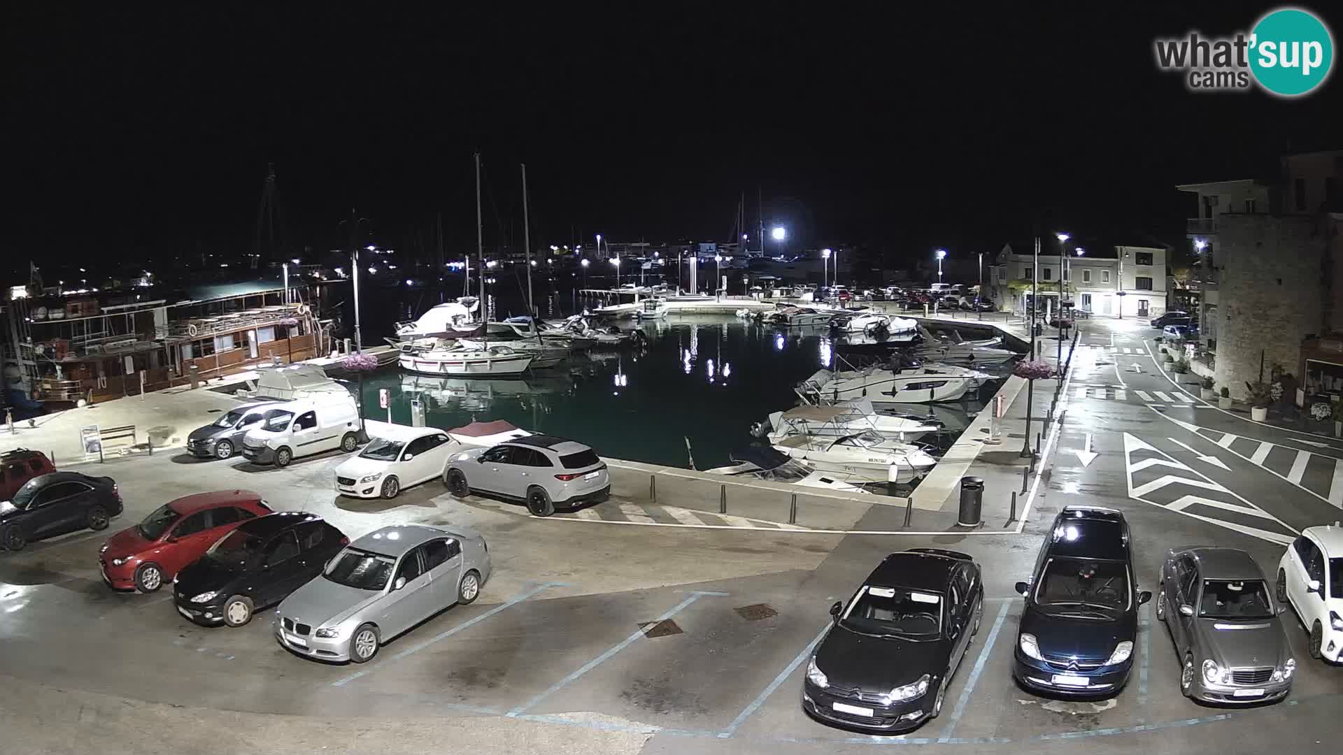 Novigrad | Porporela marina