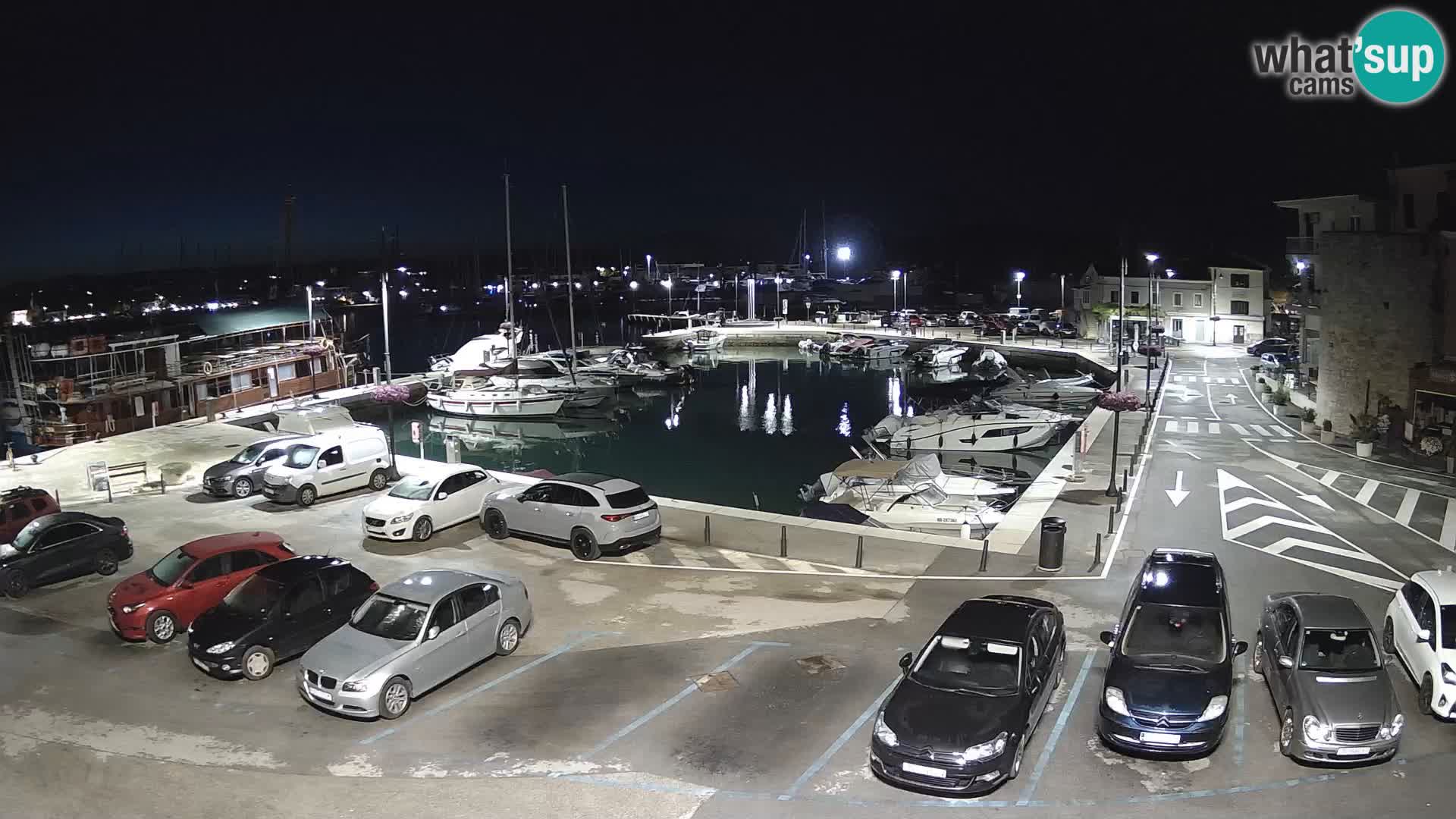 Novigrad | Porporela marina