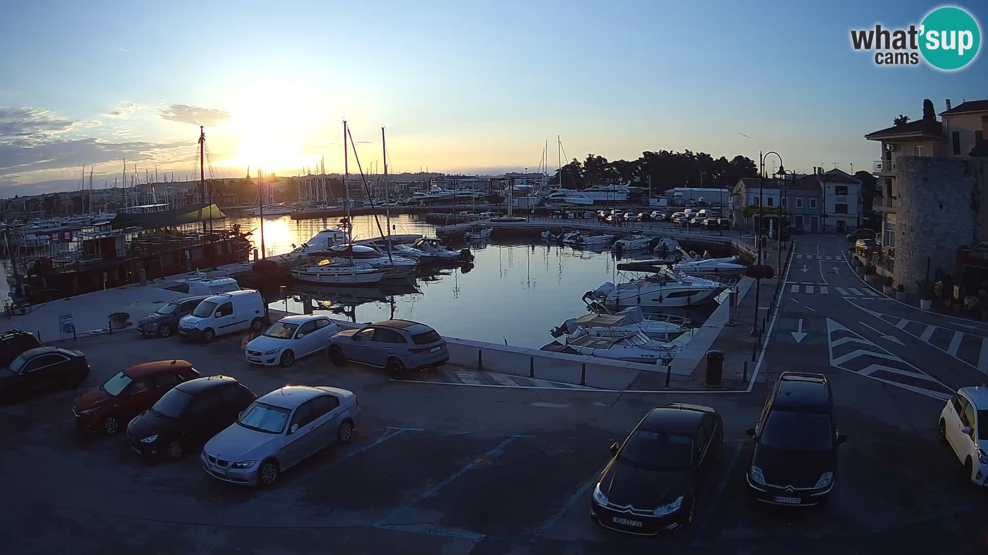 Novigrad | Porporela marina
