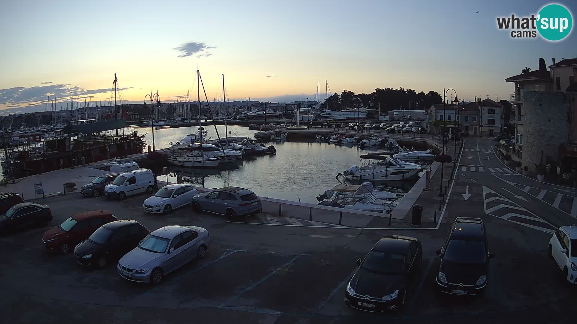 Novigrad | Porporela marina