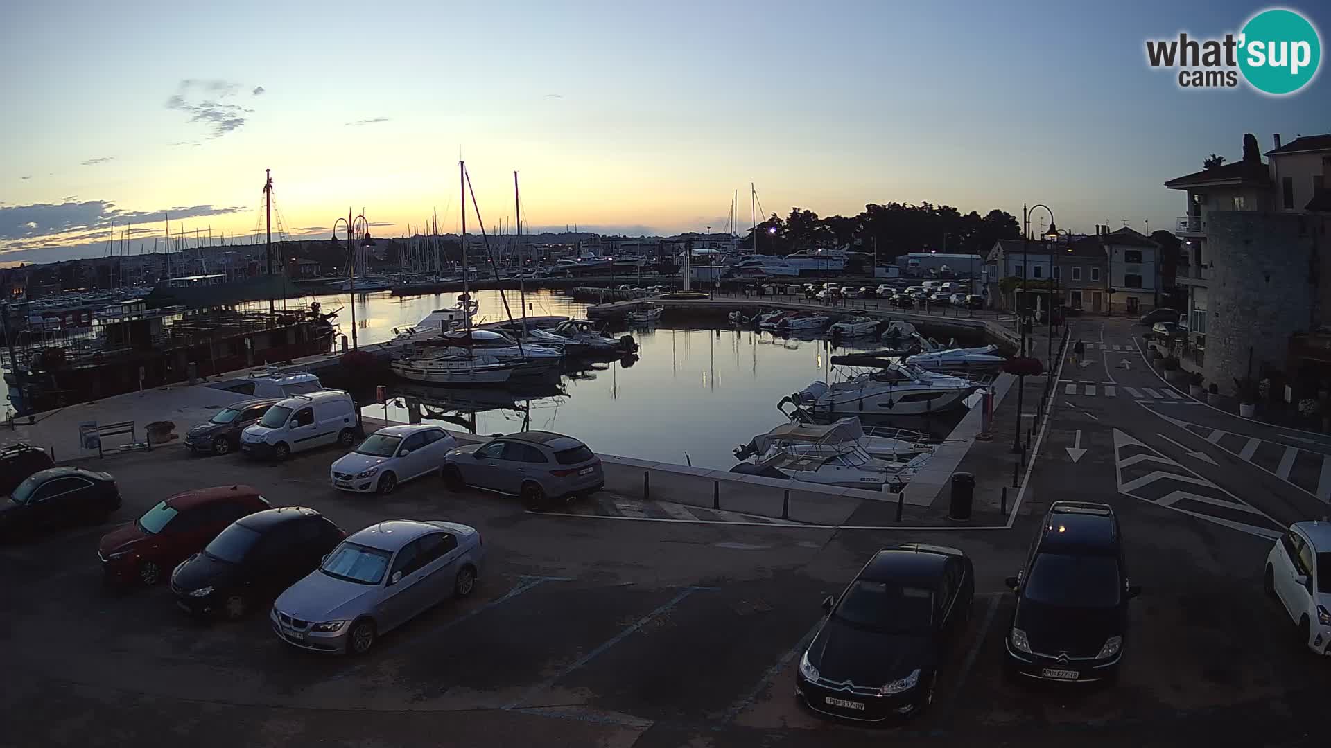 Novigrad | Porporela marina