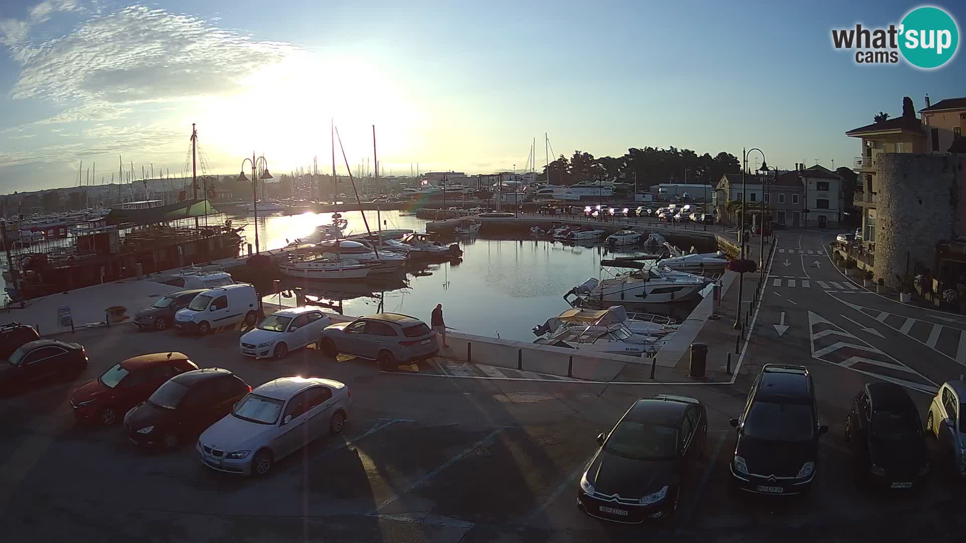 Novigrad | Porporela marina