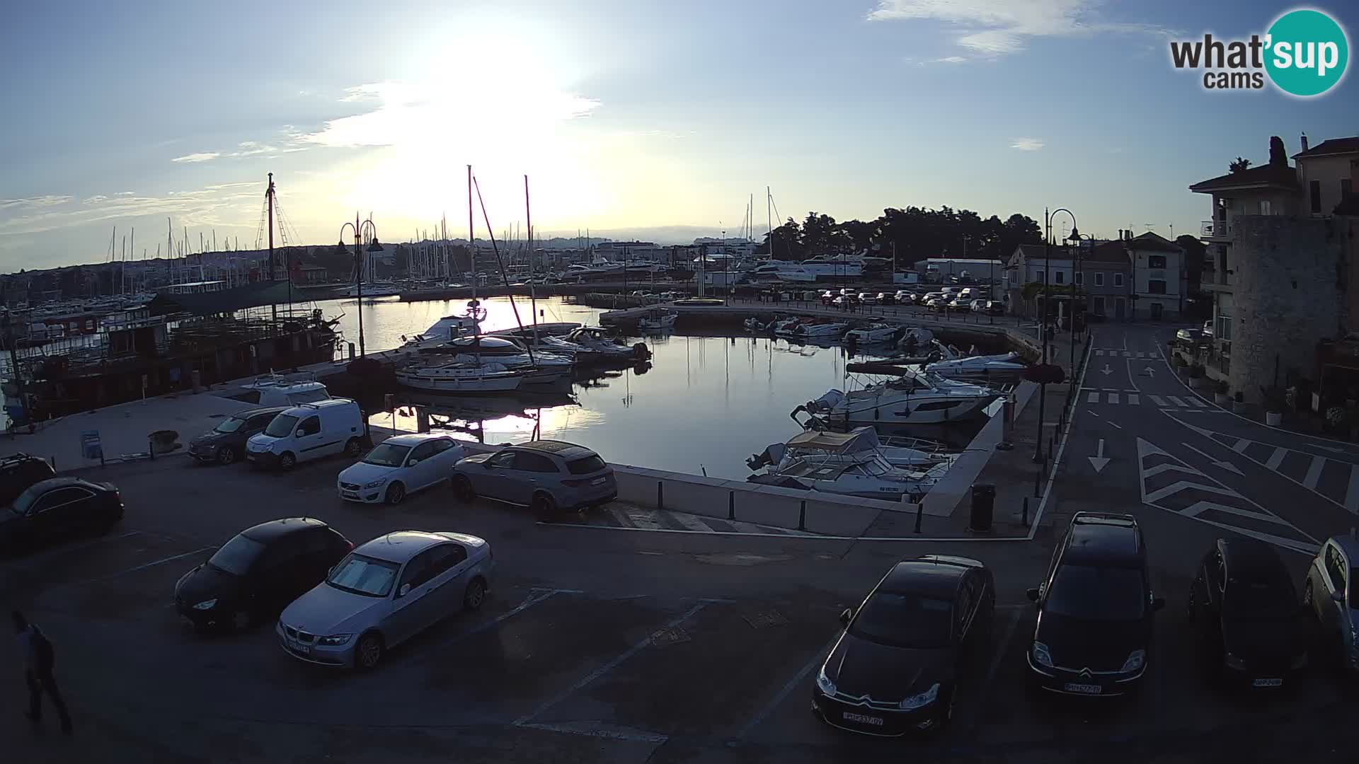 Novigrad | Porporela marina