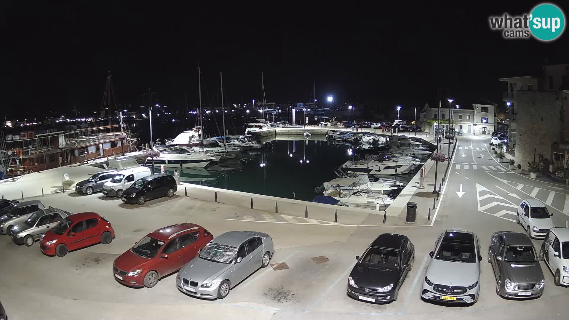 Novigrad | Porporela marina