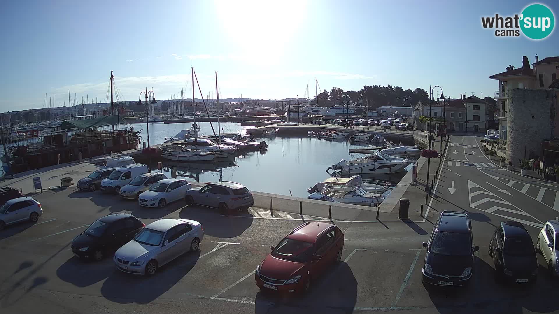 Novigrad | Porporela marina