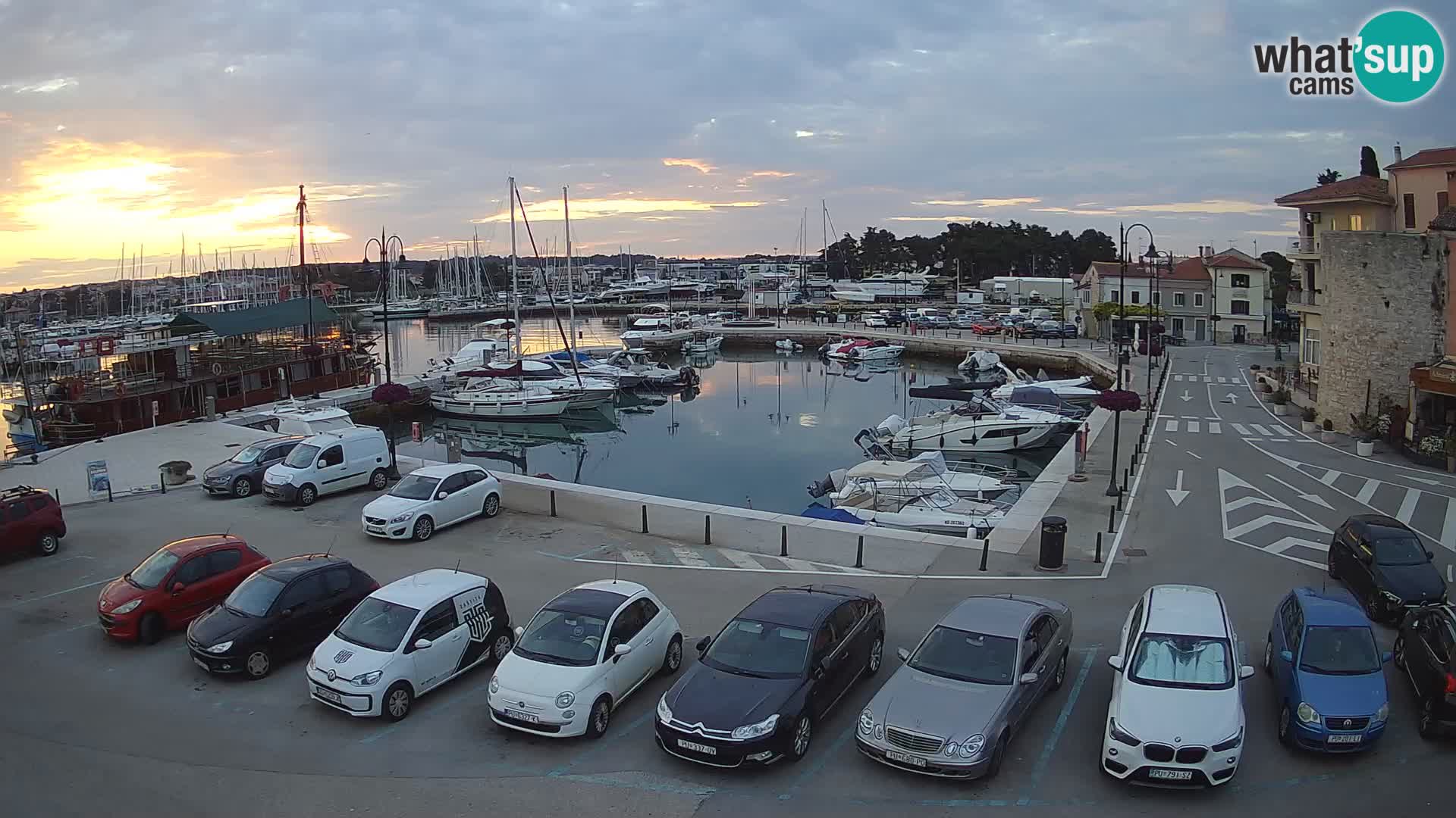 Novigrad | Porporela marina