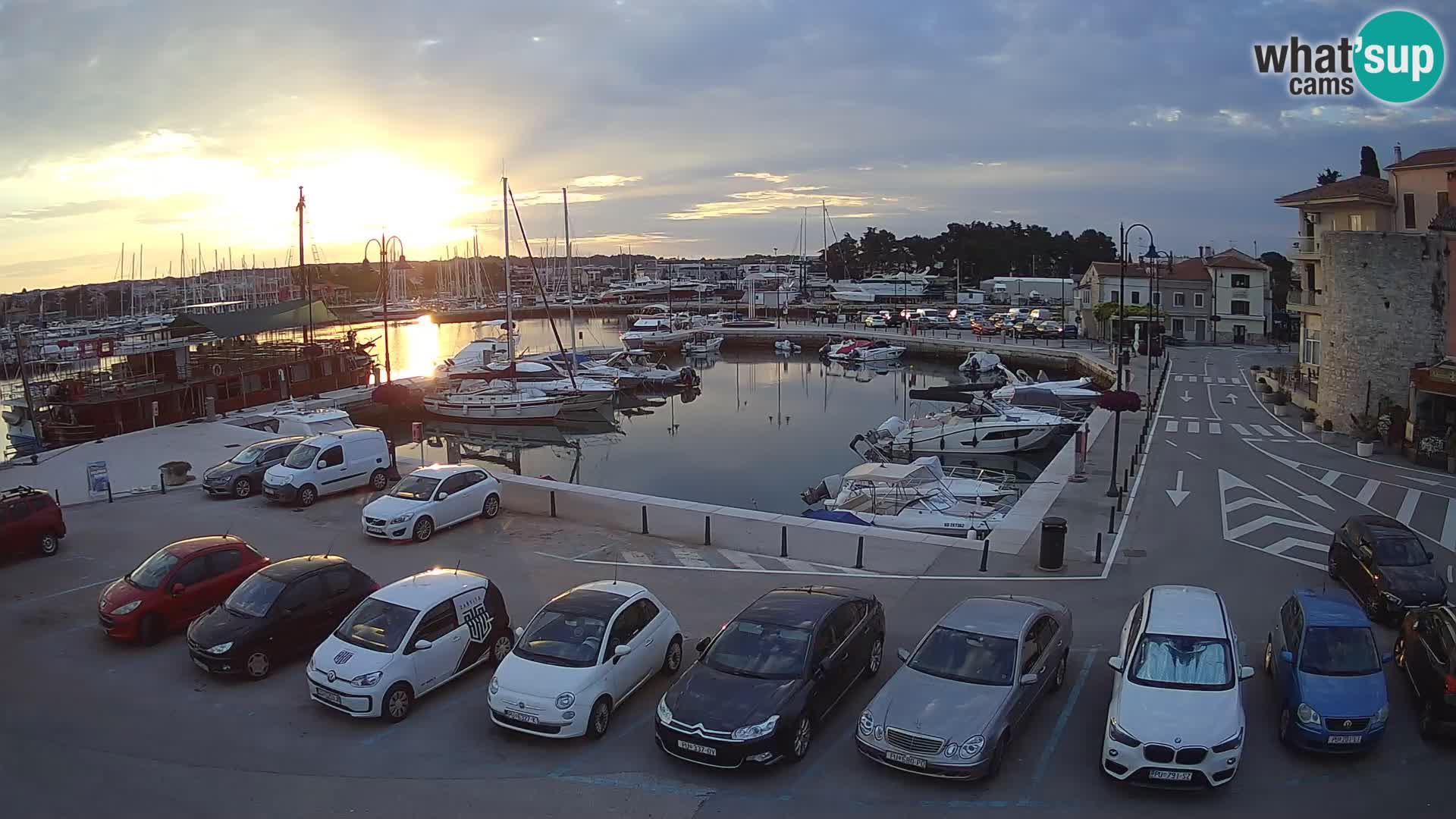 Novigrad | Porporela marina
