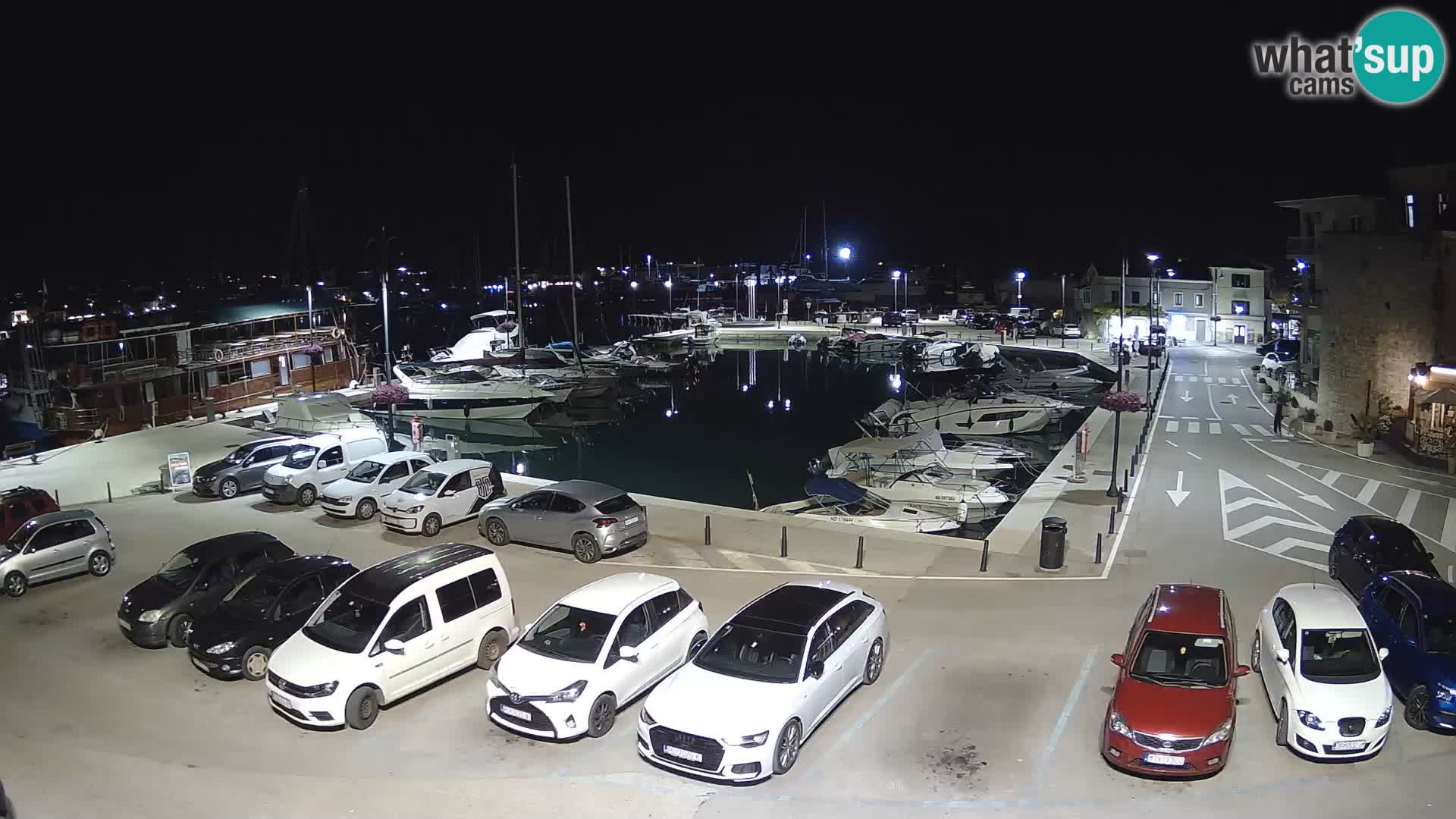 Novigrad | Porporela marina